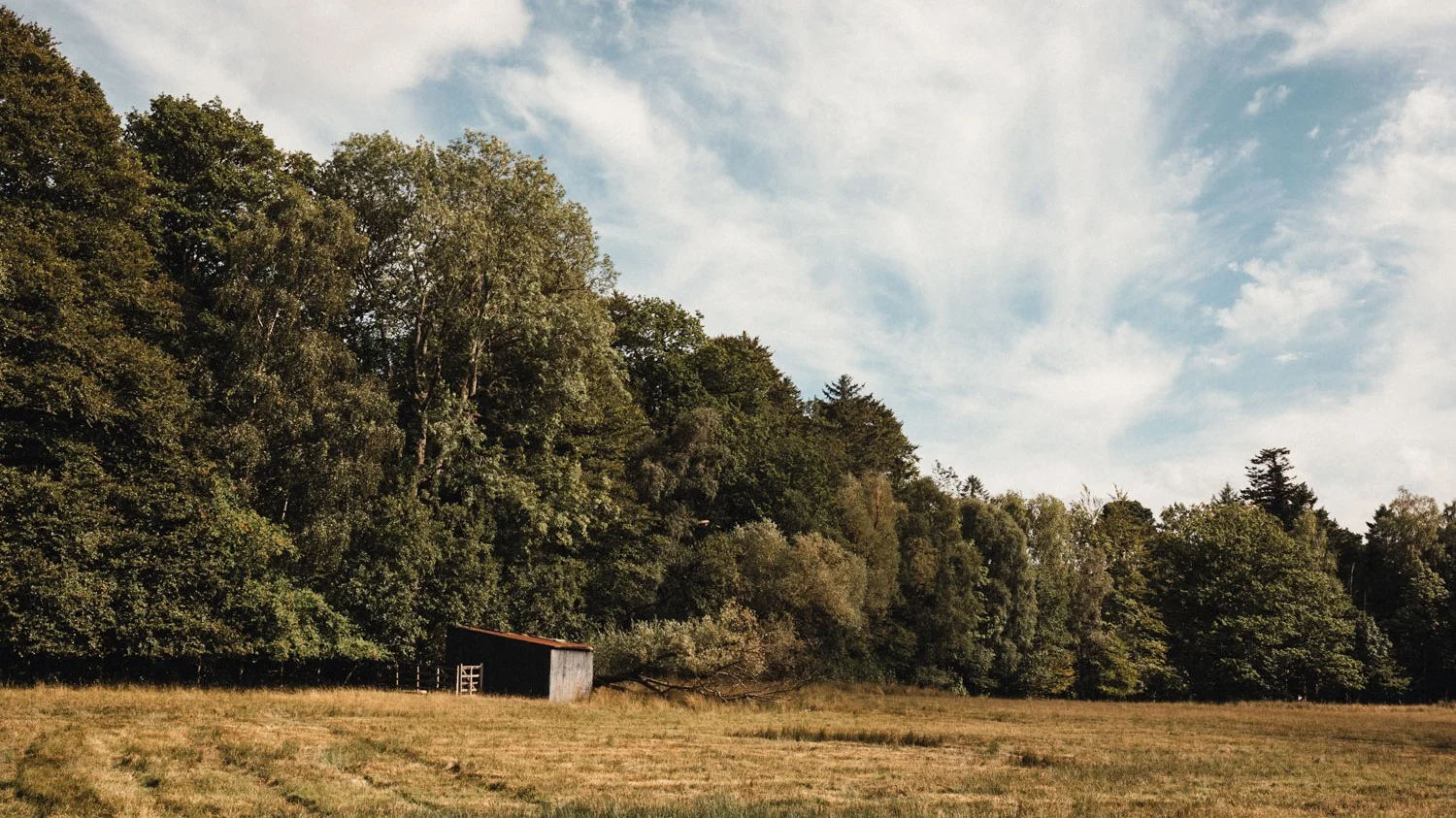 20180809--163715-andrew-maybury.jpg