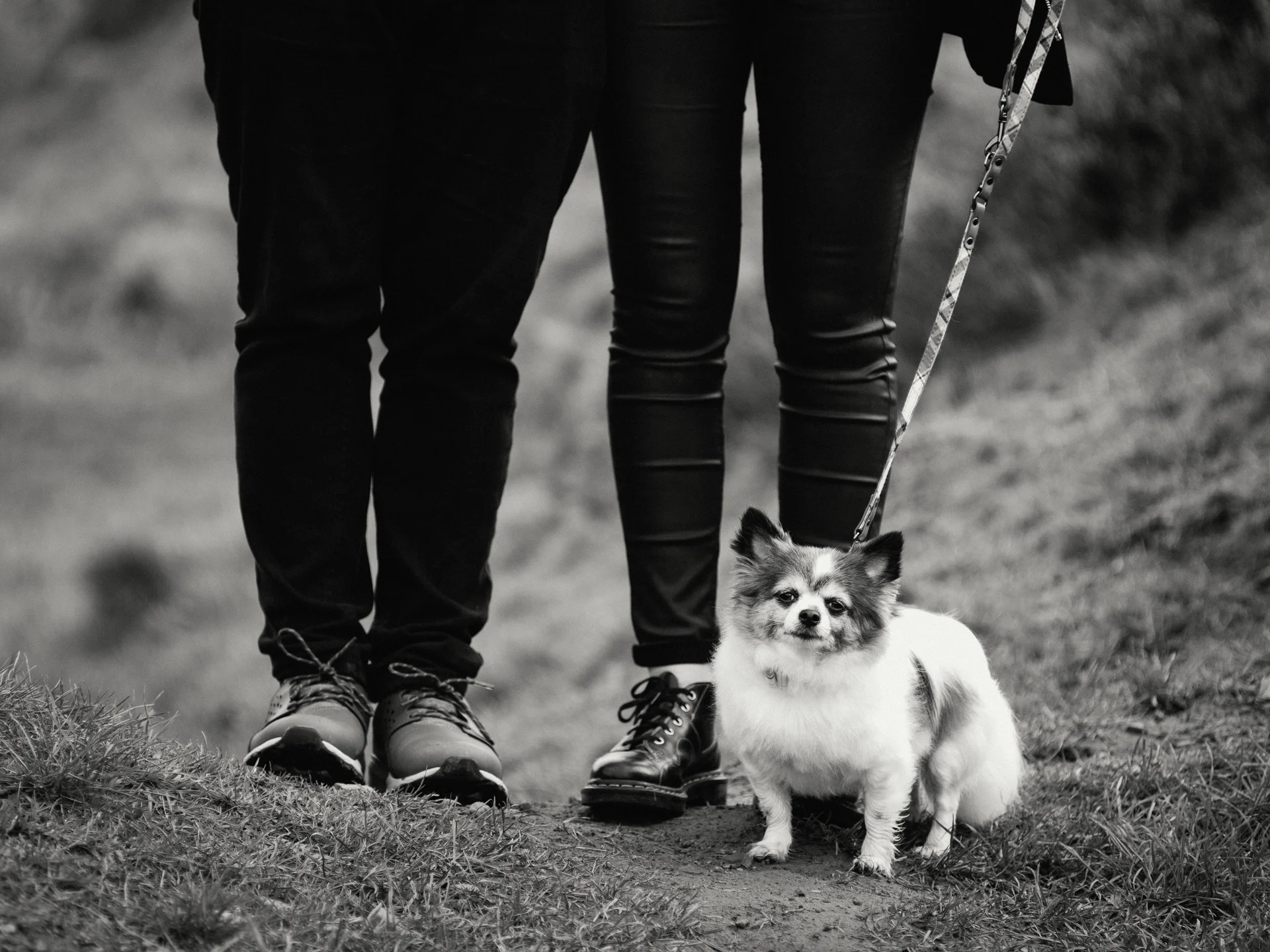20190302-rawsthorne-113620-andrew-maybury-bnw.jpg