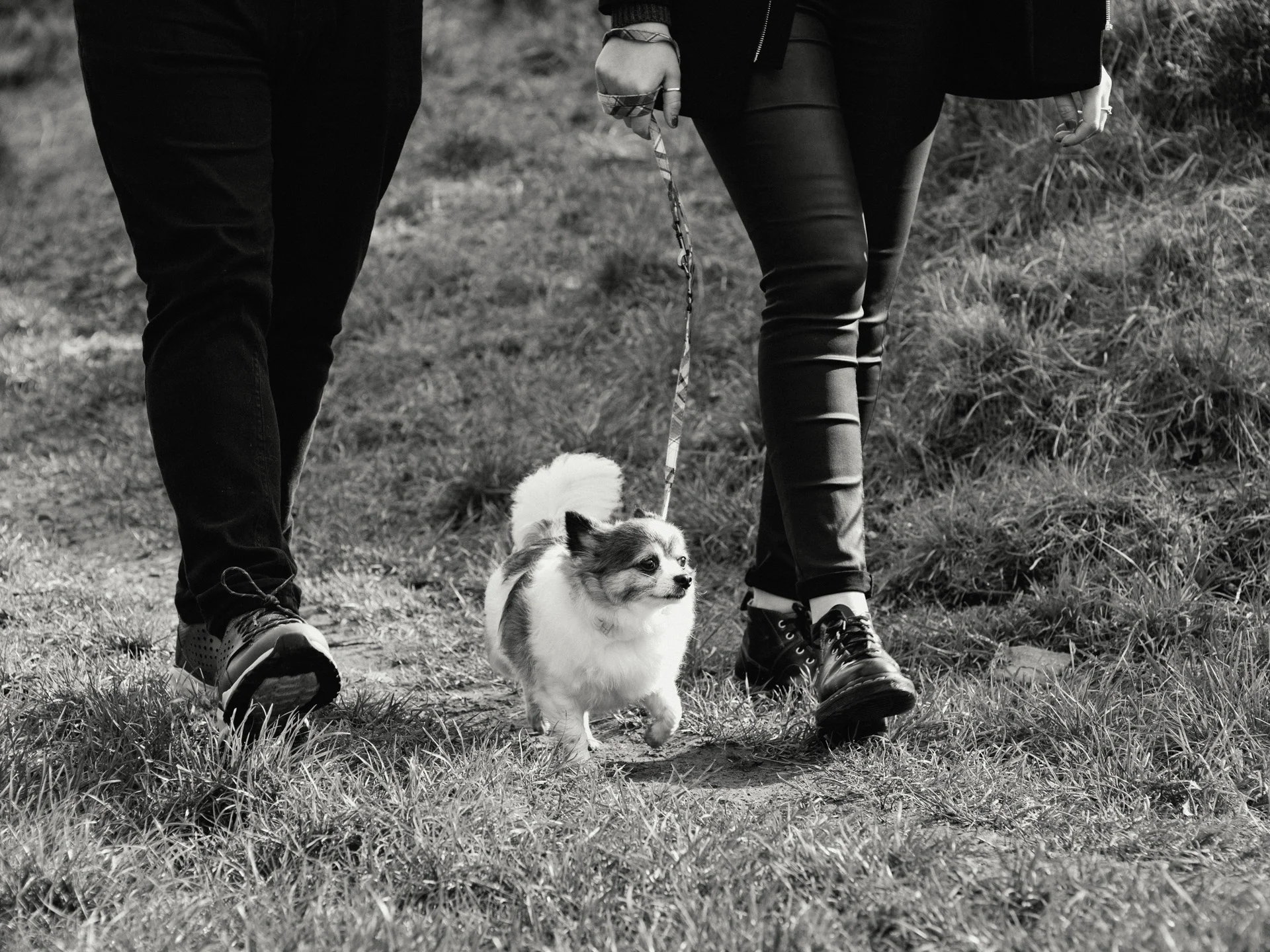 20190302-rawsthorne-113826-andrew-maybury-2-bnw.jpg