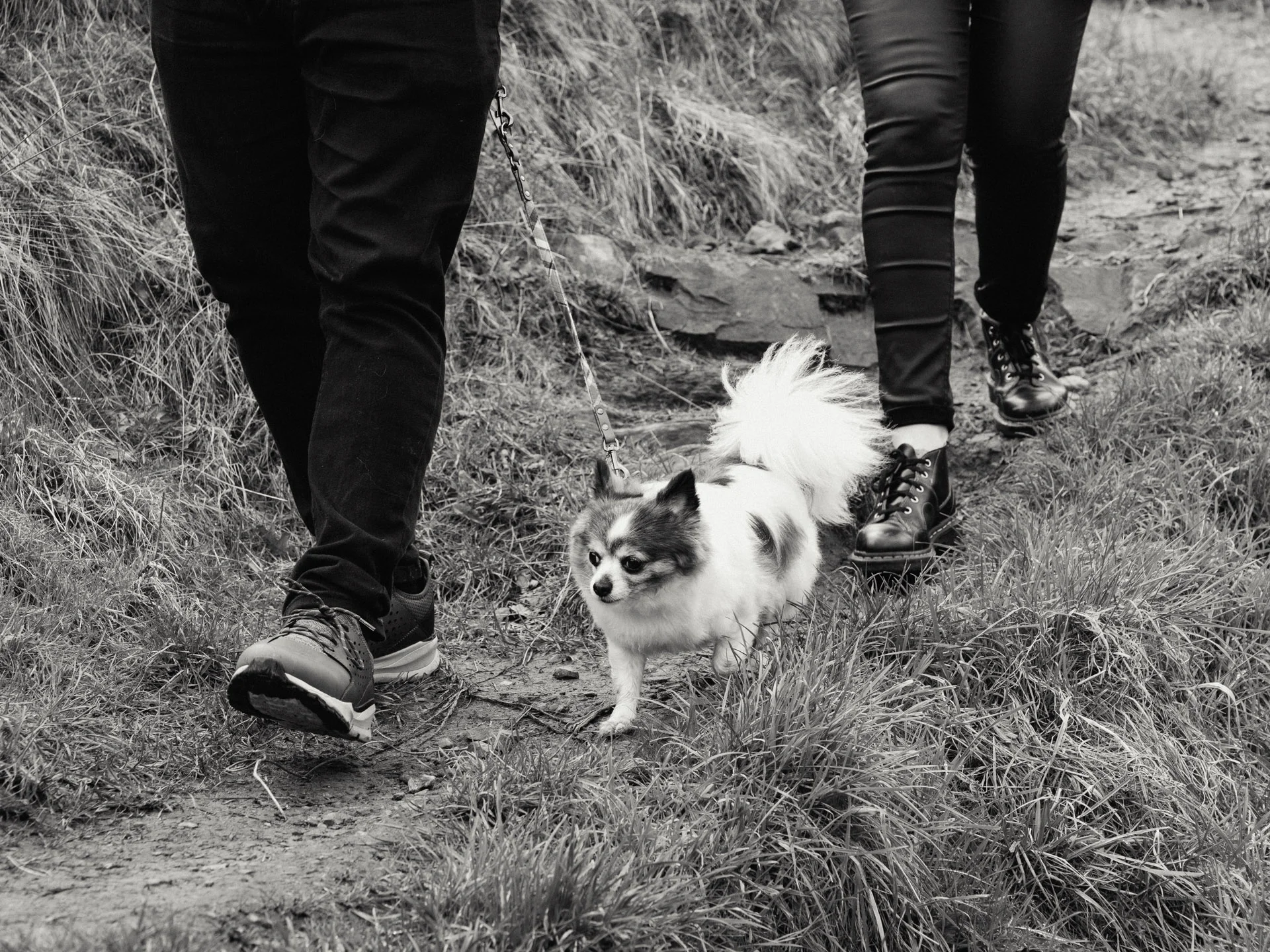 20190302-rawsthorne-113936-andrew-maybury-bnw.jpg