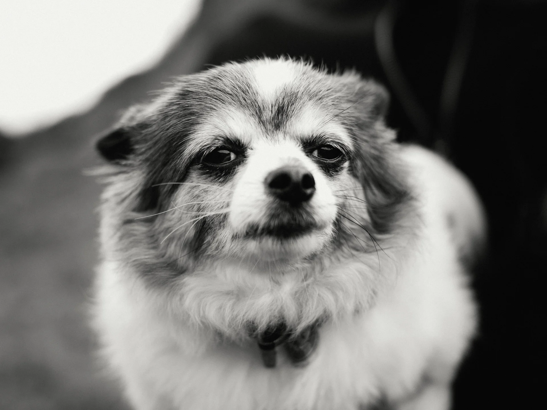 20190302-rawsthorne-120526-andrew-maybury-bnw.jpg