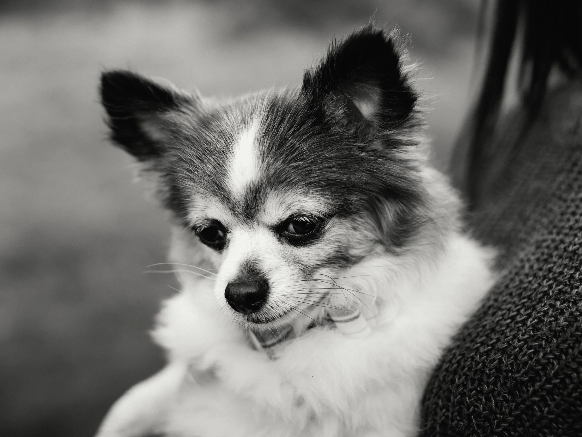 20190302-rawsthorne-121236-andrew-maybury-bnw.jpg