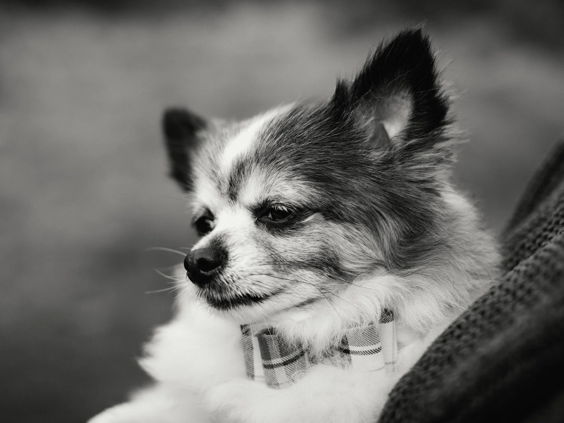 20190302-rawsthorne-121405-andrew-maybury-bnw.jpg