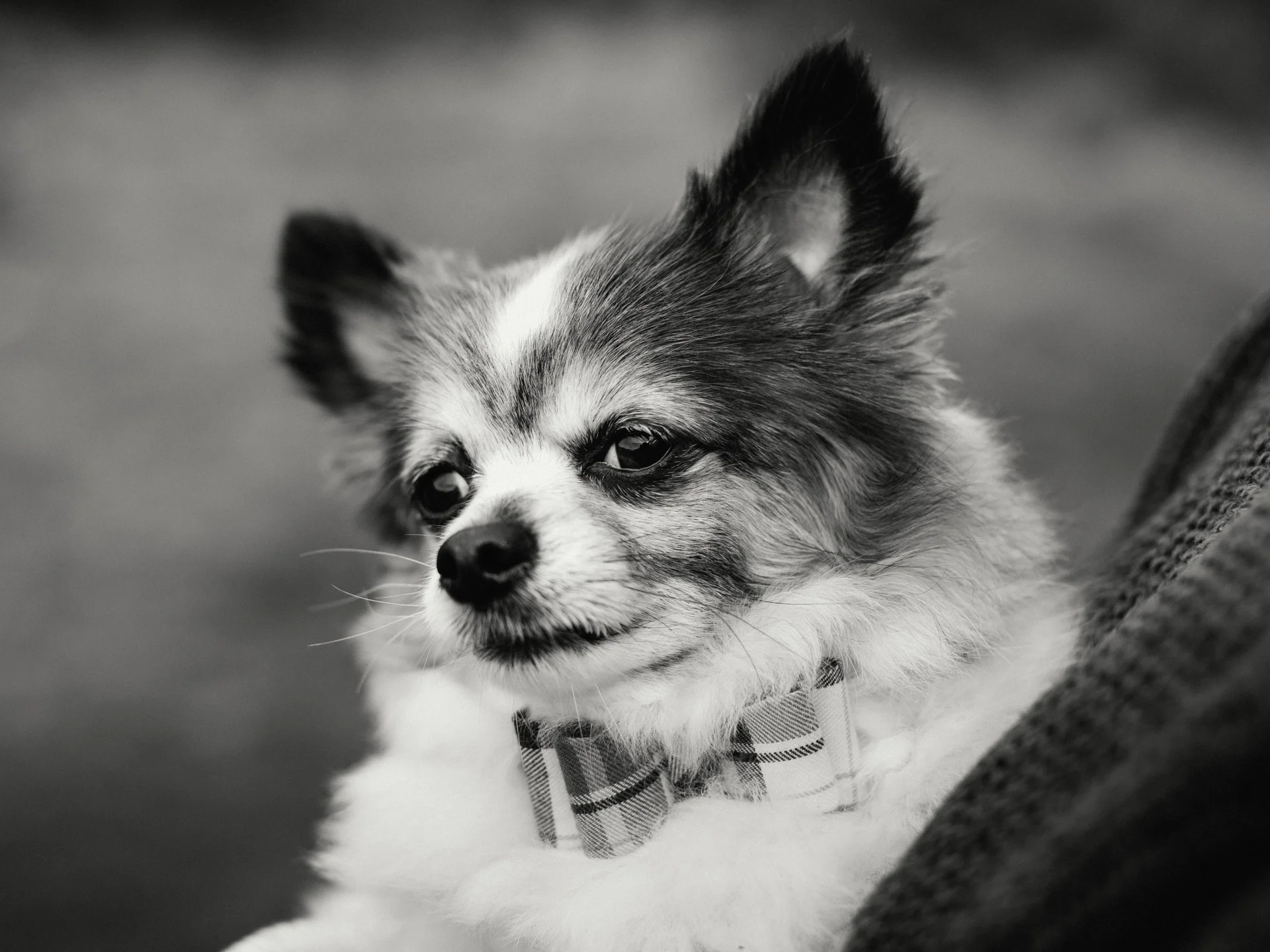 20190302-rawsthorne-121407-andrew-maybury-bnw.jpg