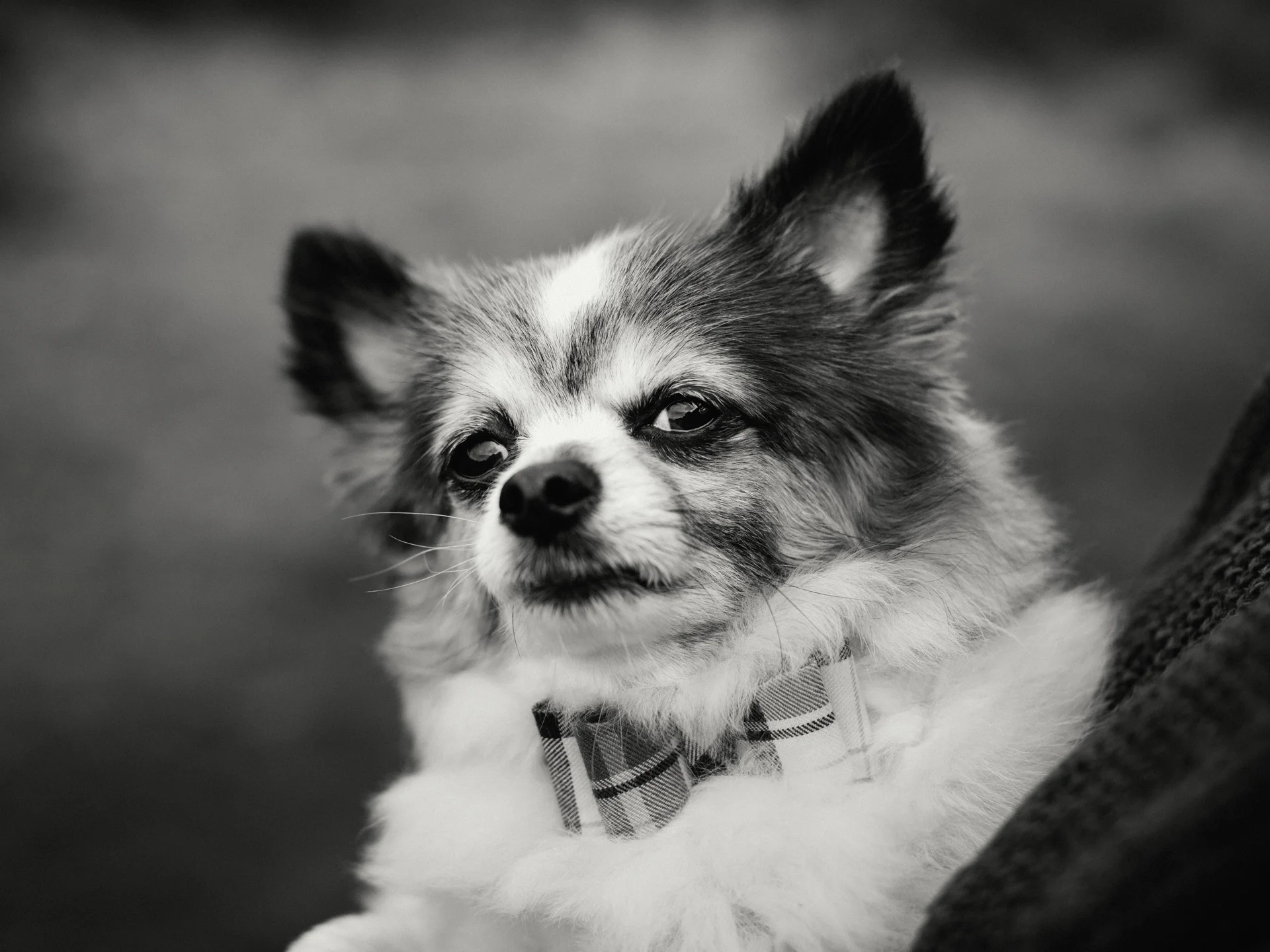20190302-rawsthorne-121413-andrew-maybury-bnw.jpg