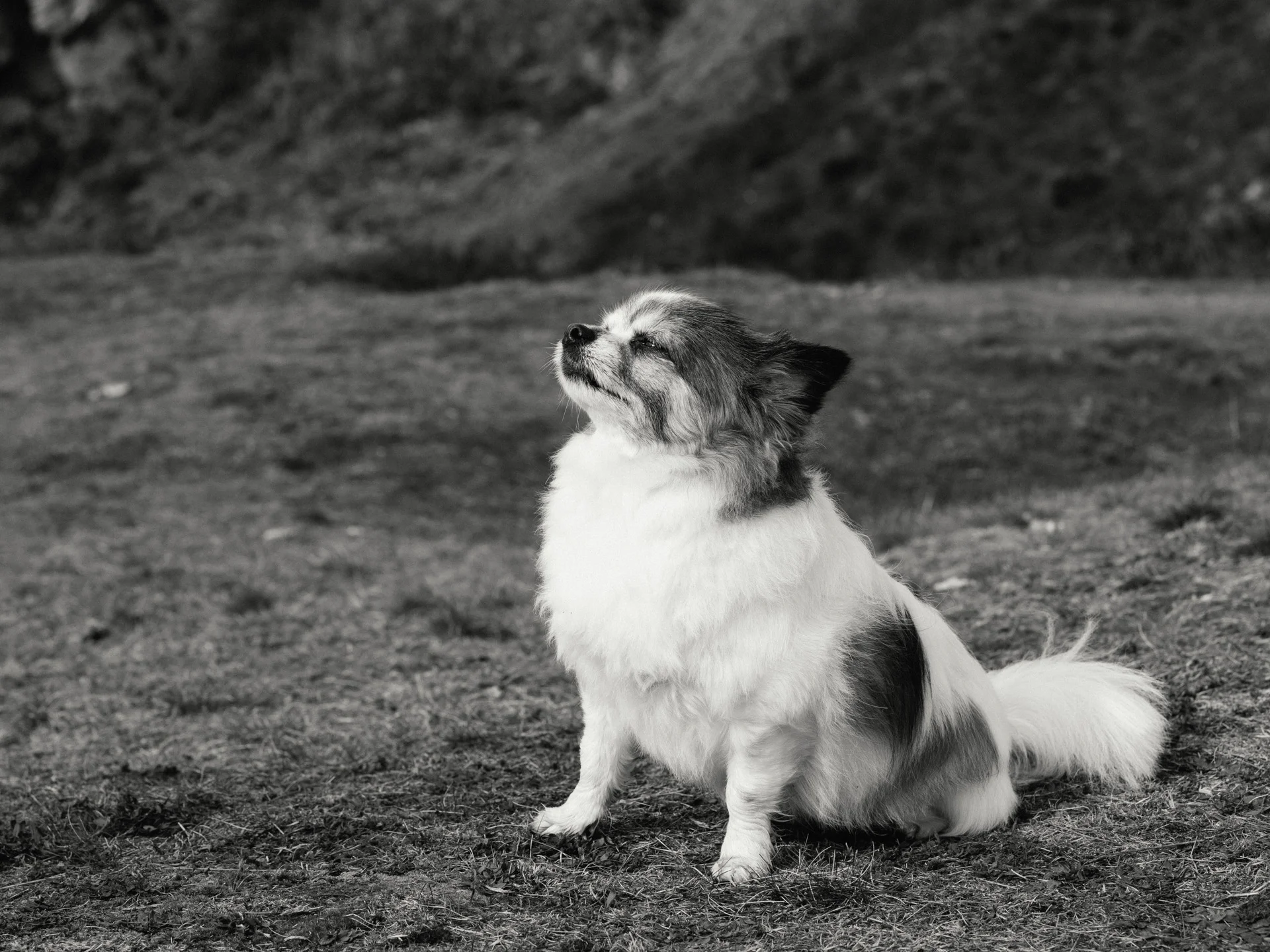 20190302-rawsthorne-122748-andrew-maybury-bnw.jpg