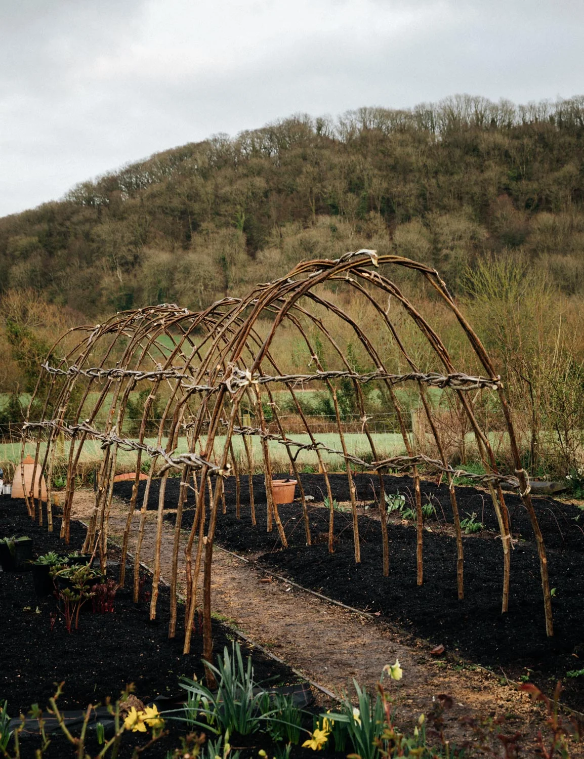 20190307-gaf-andrew-kirby-173340-andrew-maybury.jpg