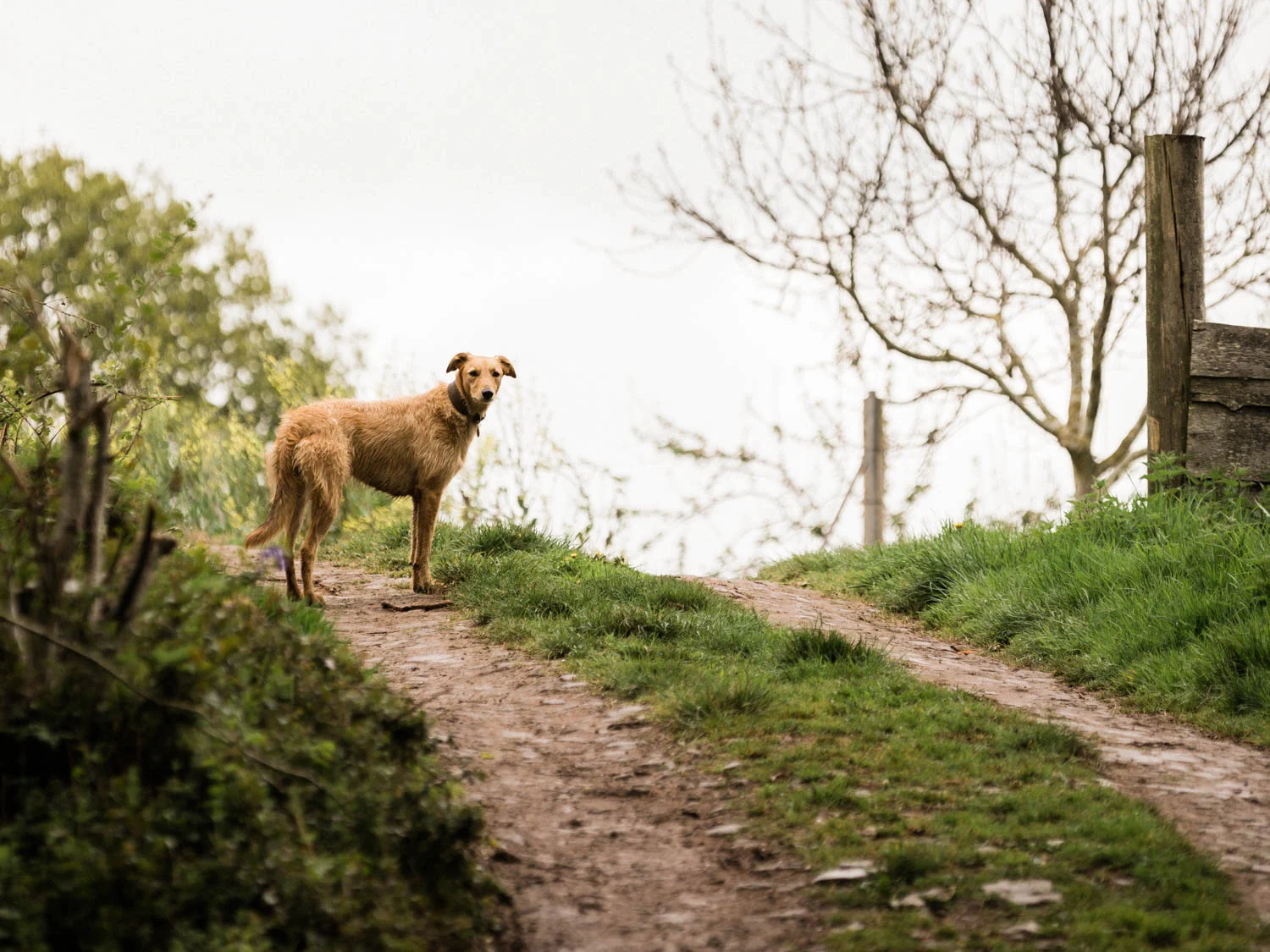 20190426-fern-verrow-101639.jpg
