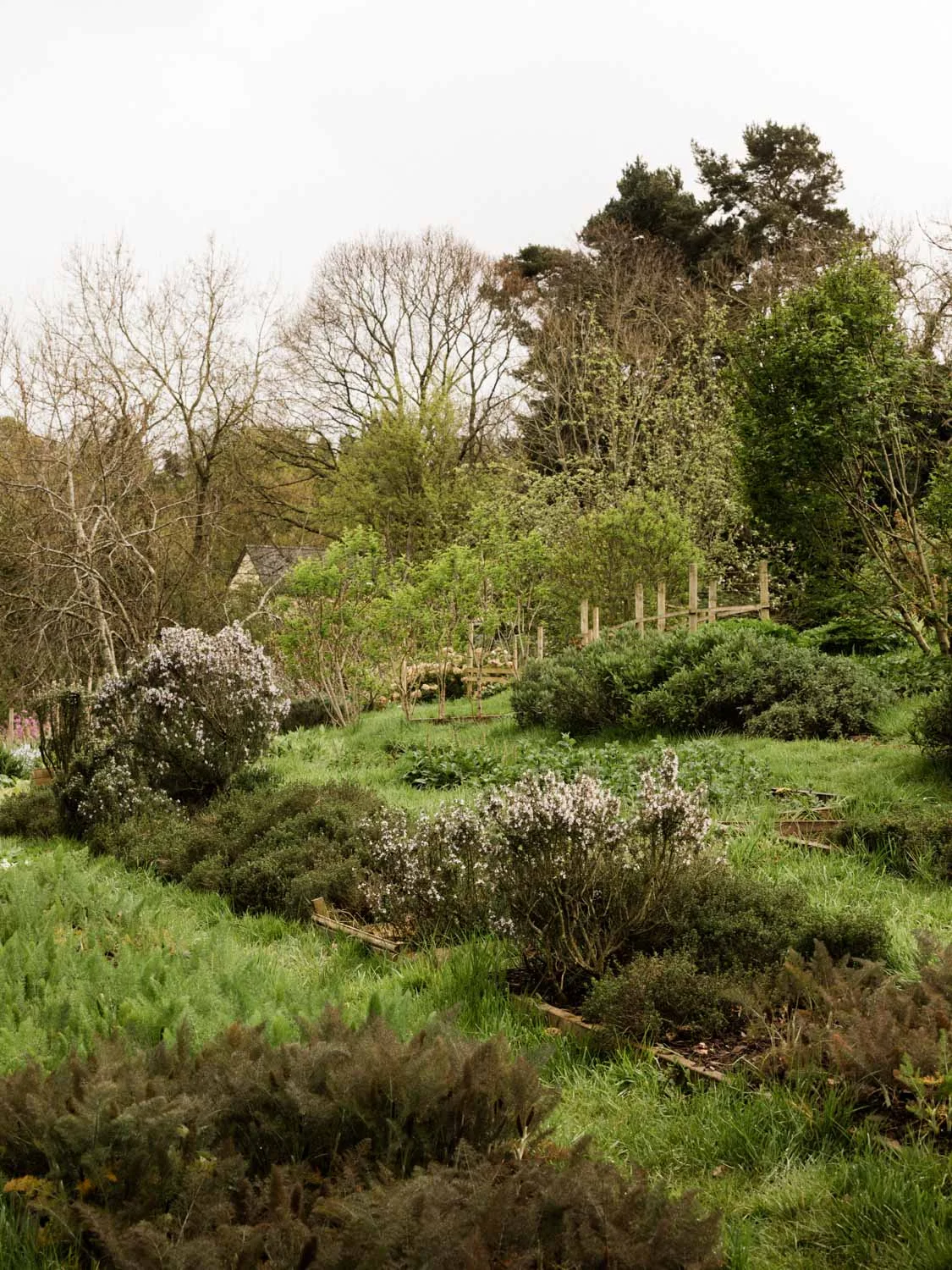 20190426-fern-verrow-132728.jpg