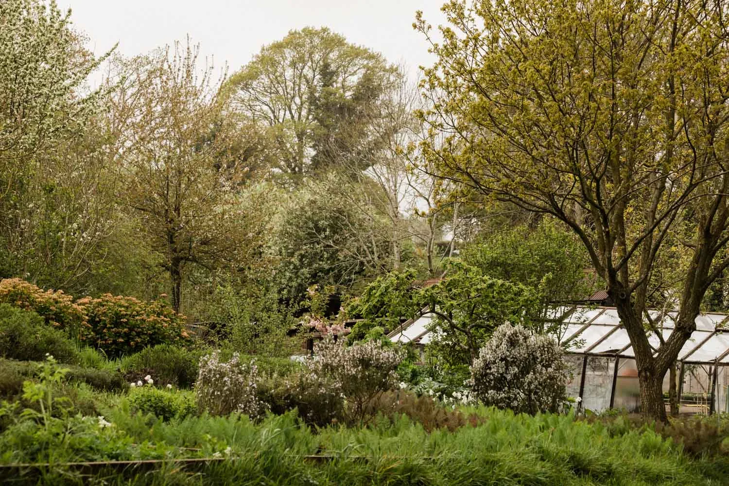20190426-fern-verrow-133023.jpg