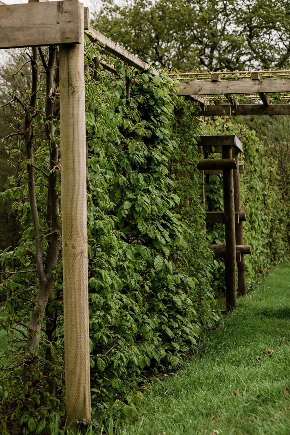 20190426-fern-verrow-133932.jpg