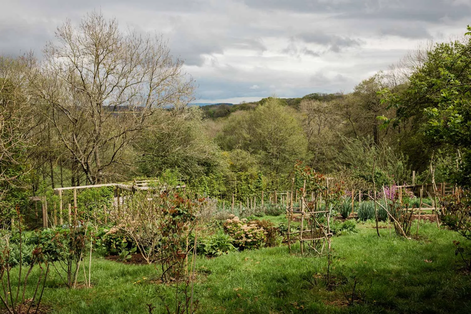 20190426-fern-verrow-143451.jpg