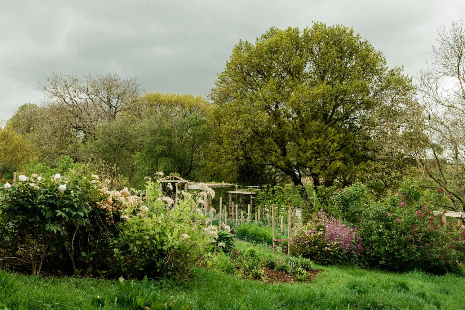 20190426-fern-verrow-152148.jpg