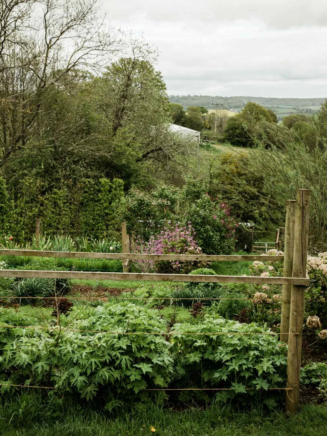 20190426-fern-verrow-152518.jpg