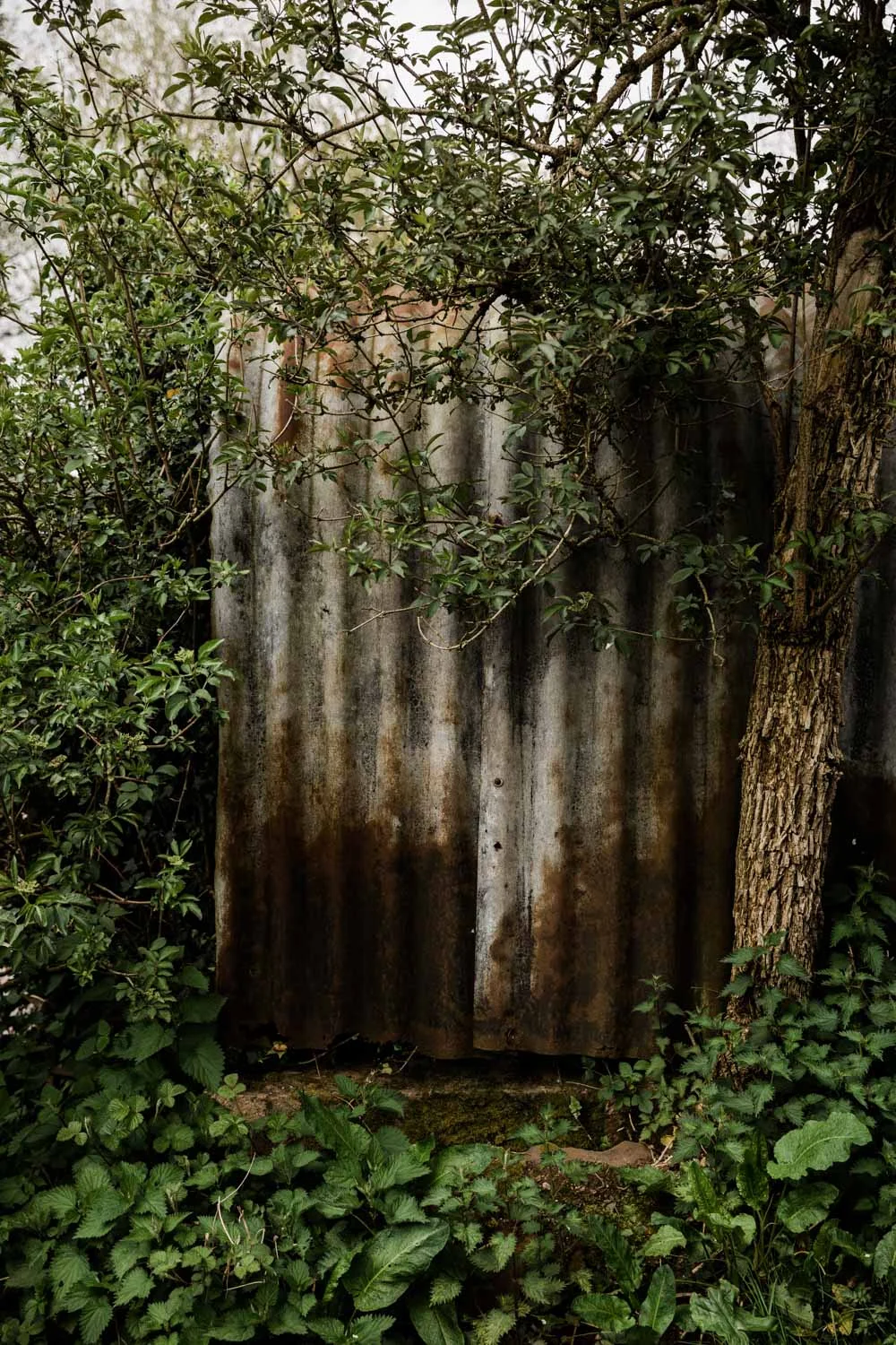 20190426-fern-verrow-154449.jpg