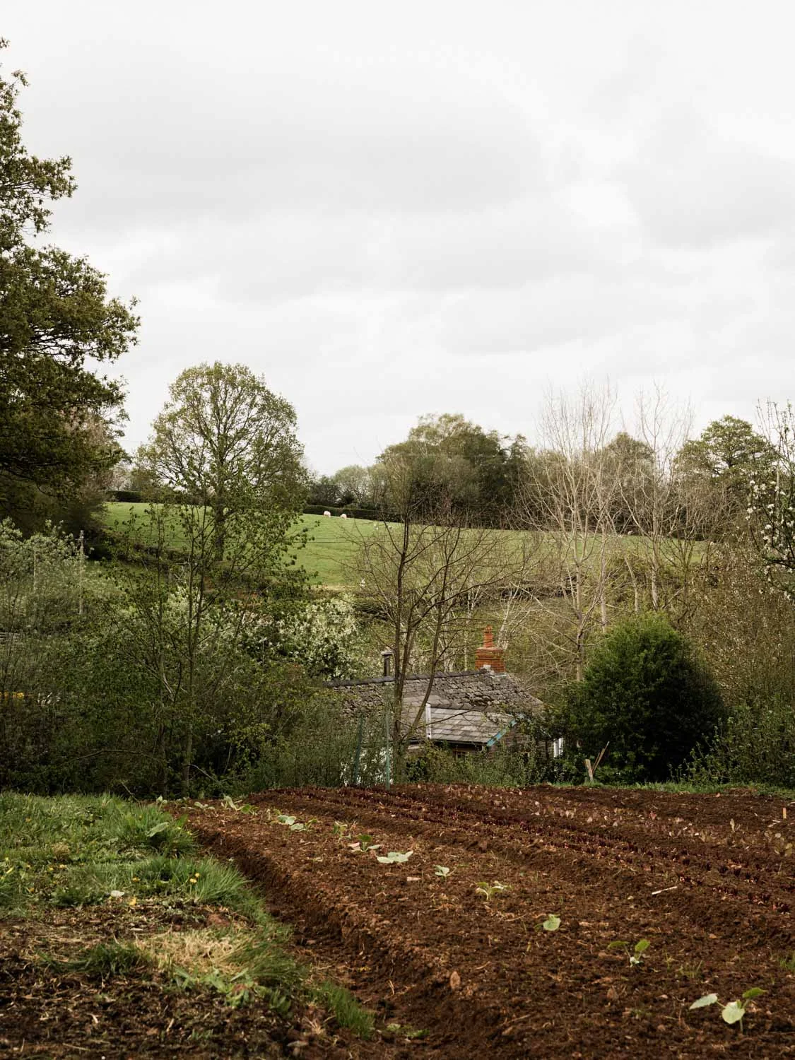20190426-fern-verrow-165220.jpg