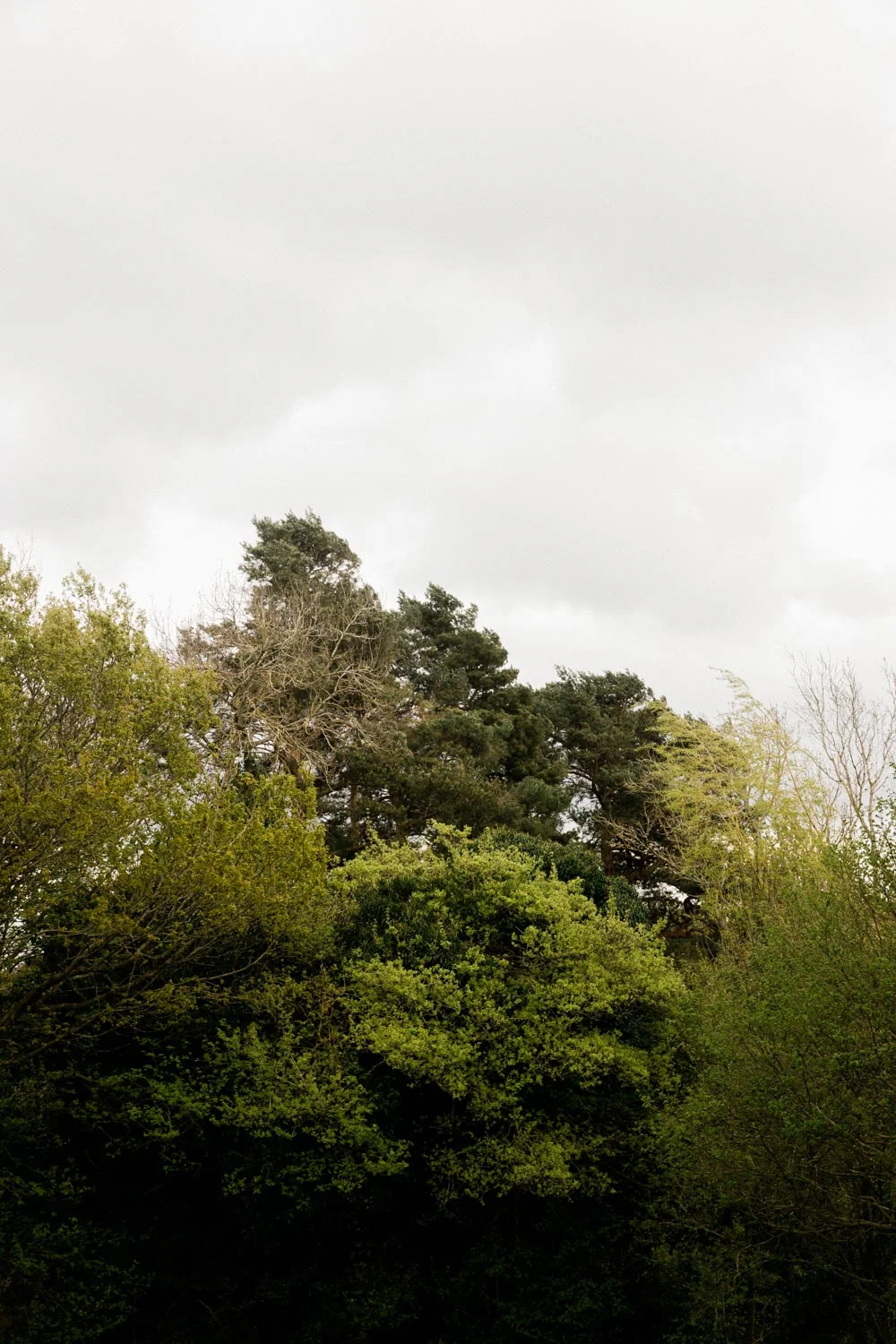 20190426-fern-verrow-170032.jpg