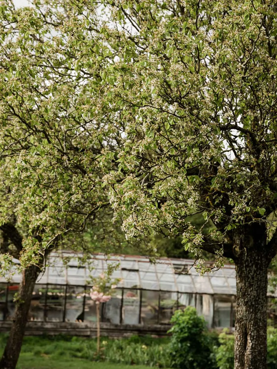 20190426-fern-verrow-171127.jpg