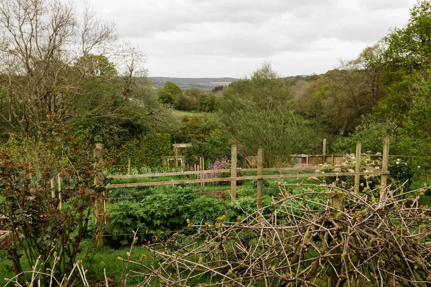 20190426-fern-verrow-171247.jpg