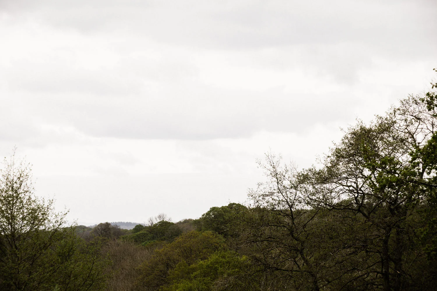 20190426-fern-verrow-172336.jpg