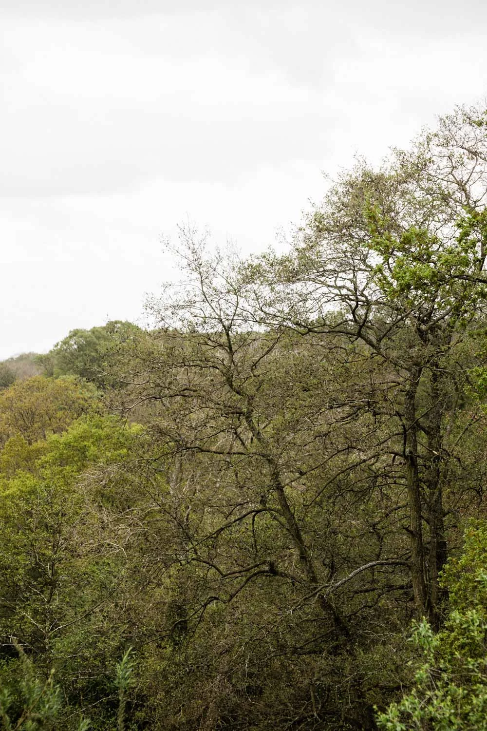 20190426-fern-verrow-172345.jpg