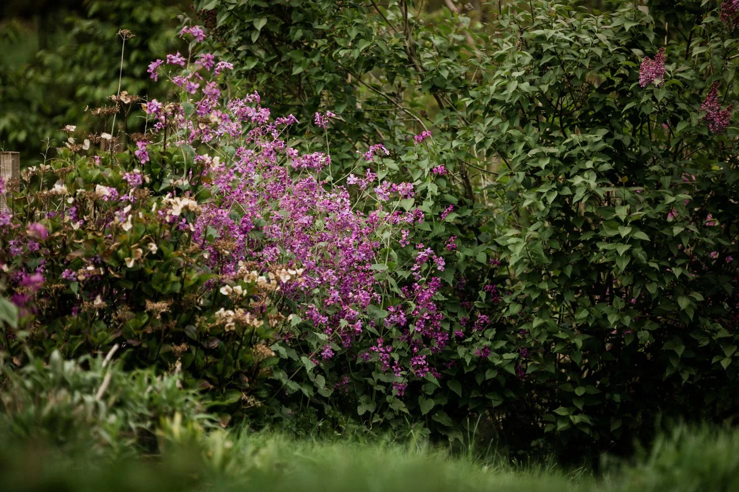 20190426-fern-verrow-172615.jpg