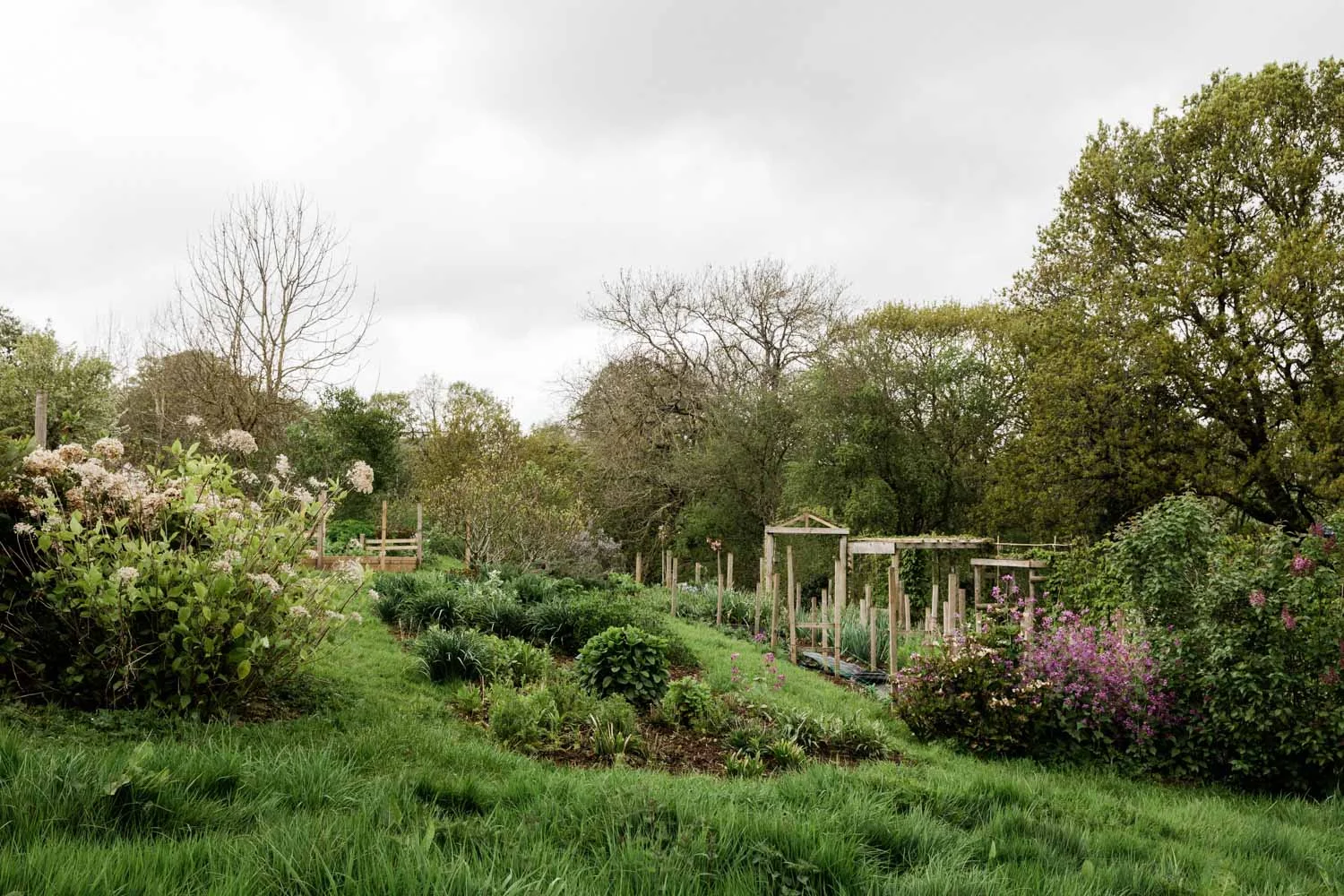 20190426-fern-verrow-173509.jpg