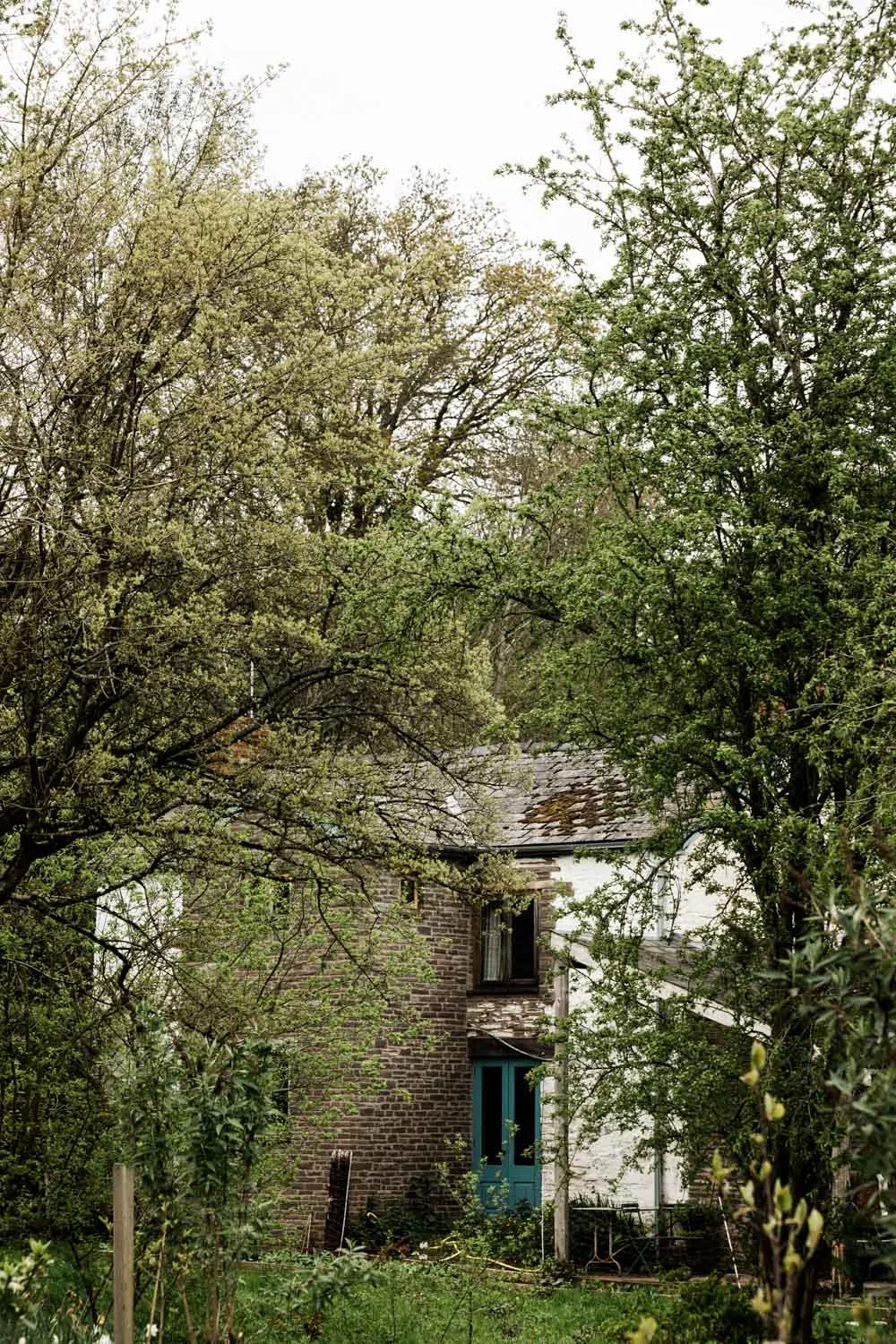 20190426-fern-verrow-173917.jpg