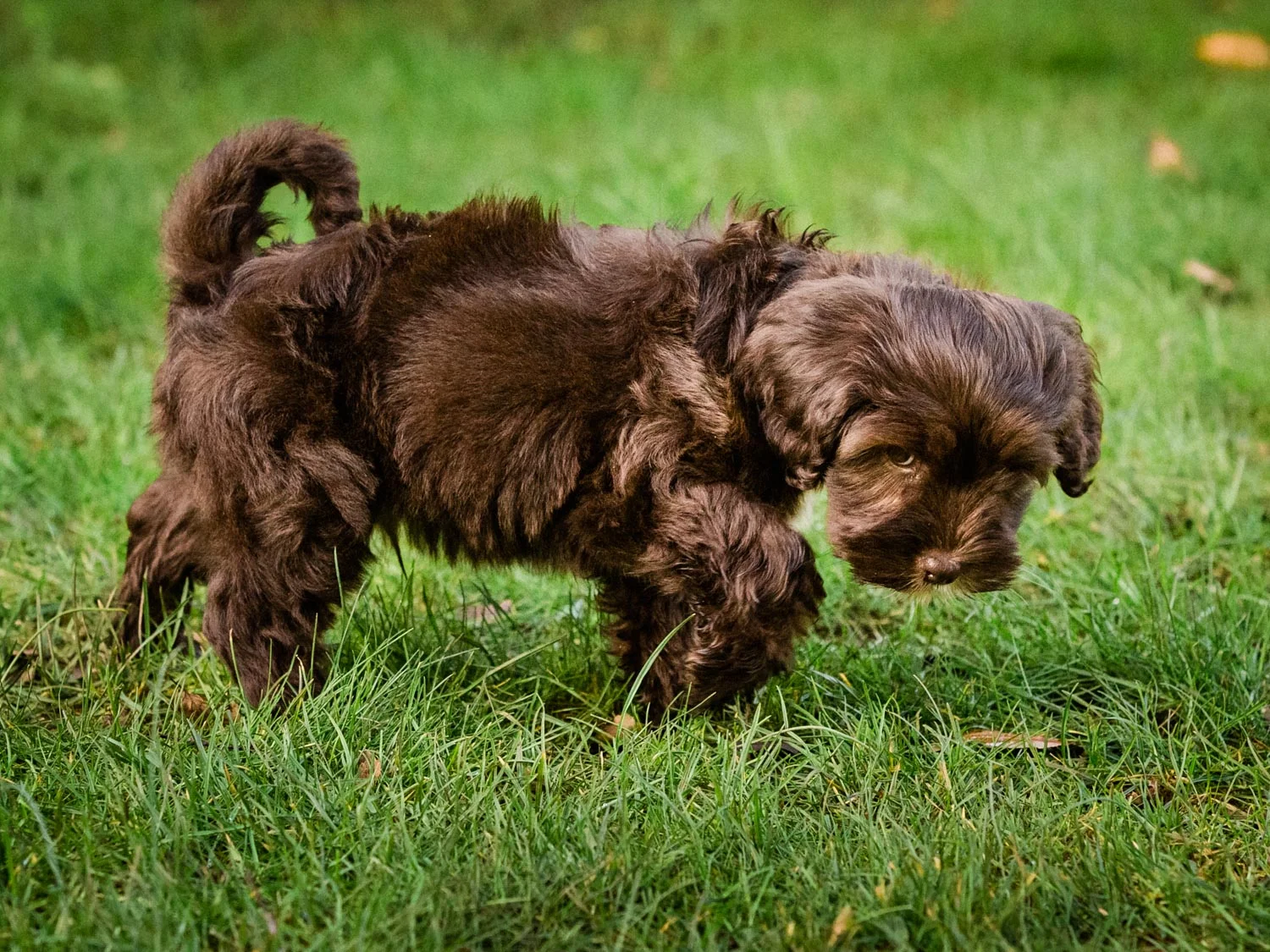 20170207--113928-andrew-maybury.jpg