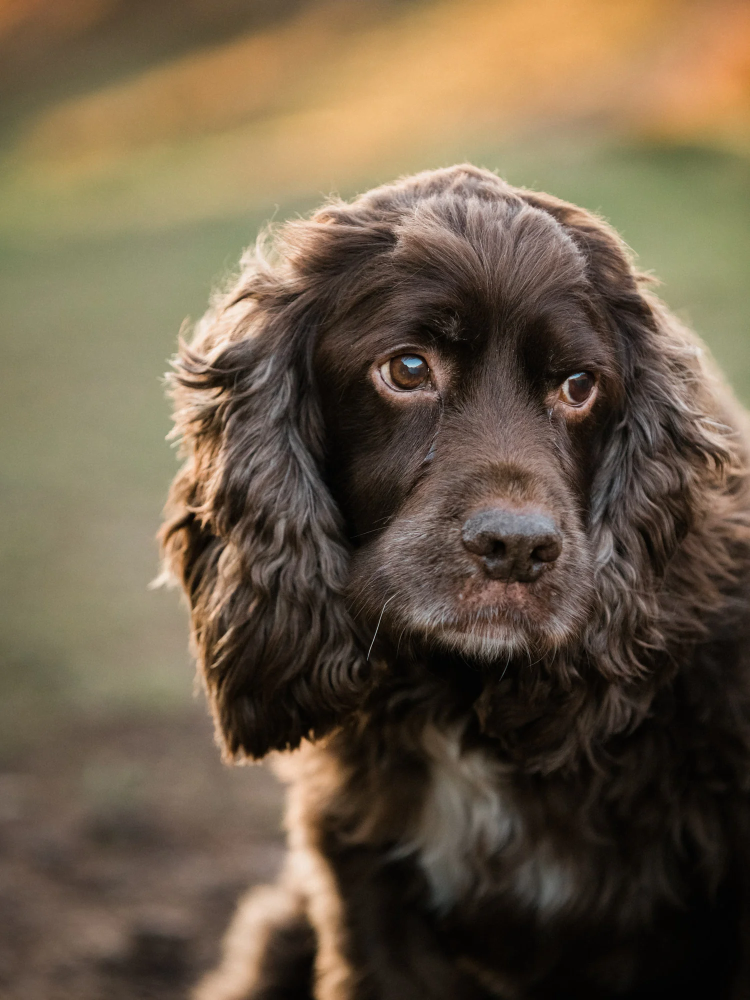 20180225--170125-andrew-maybury.jpg