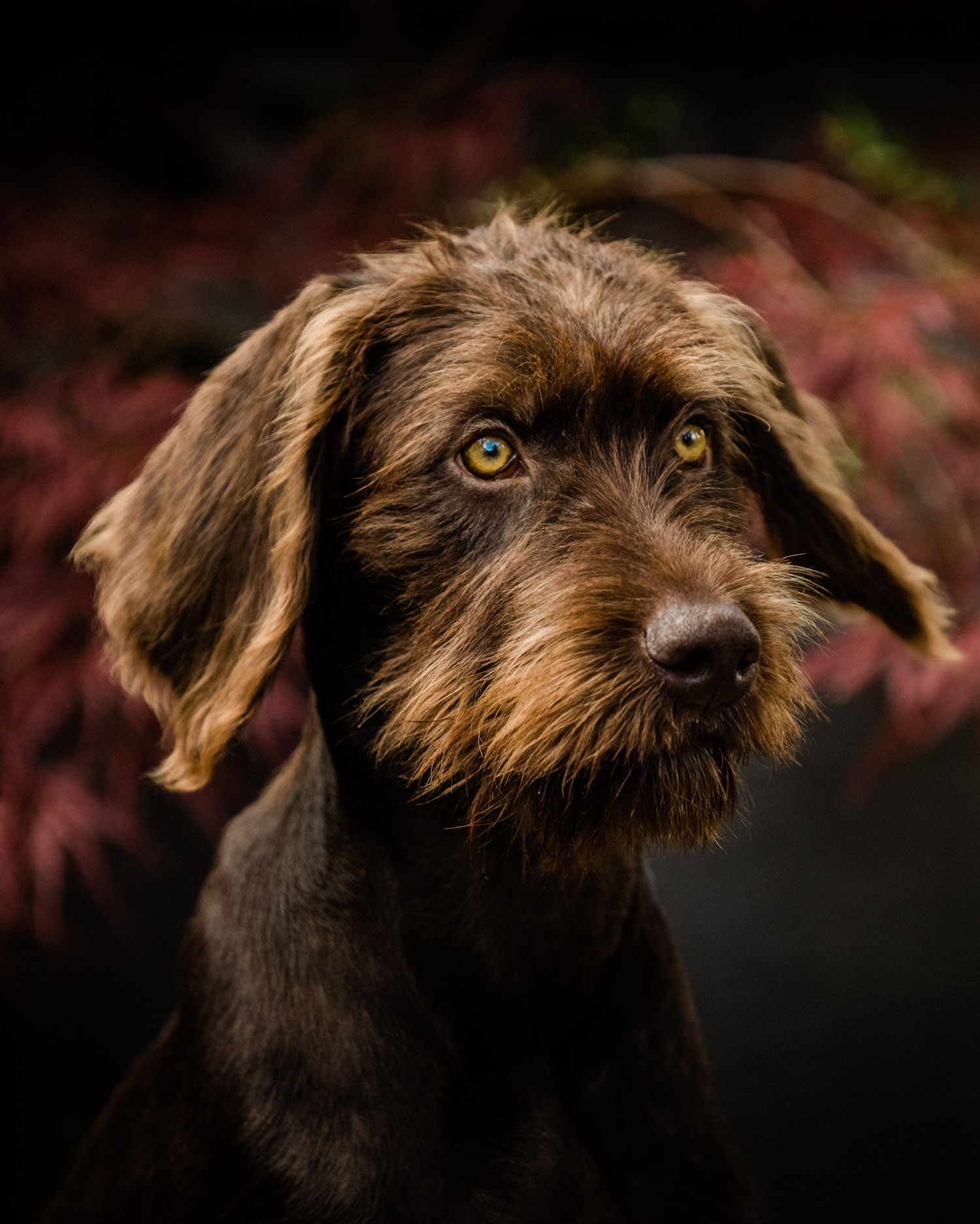20180829--153603-andrew-maybury.jpg