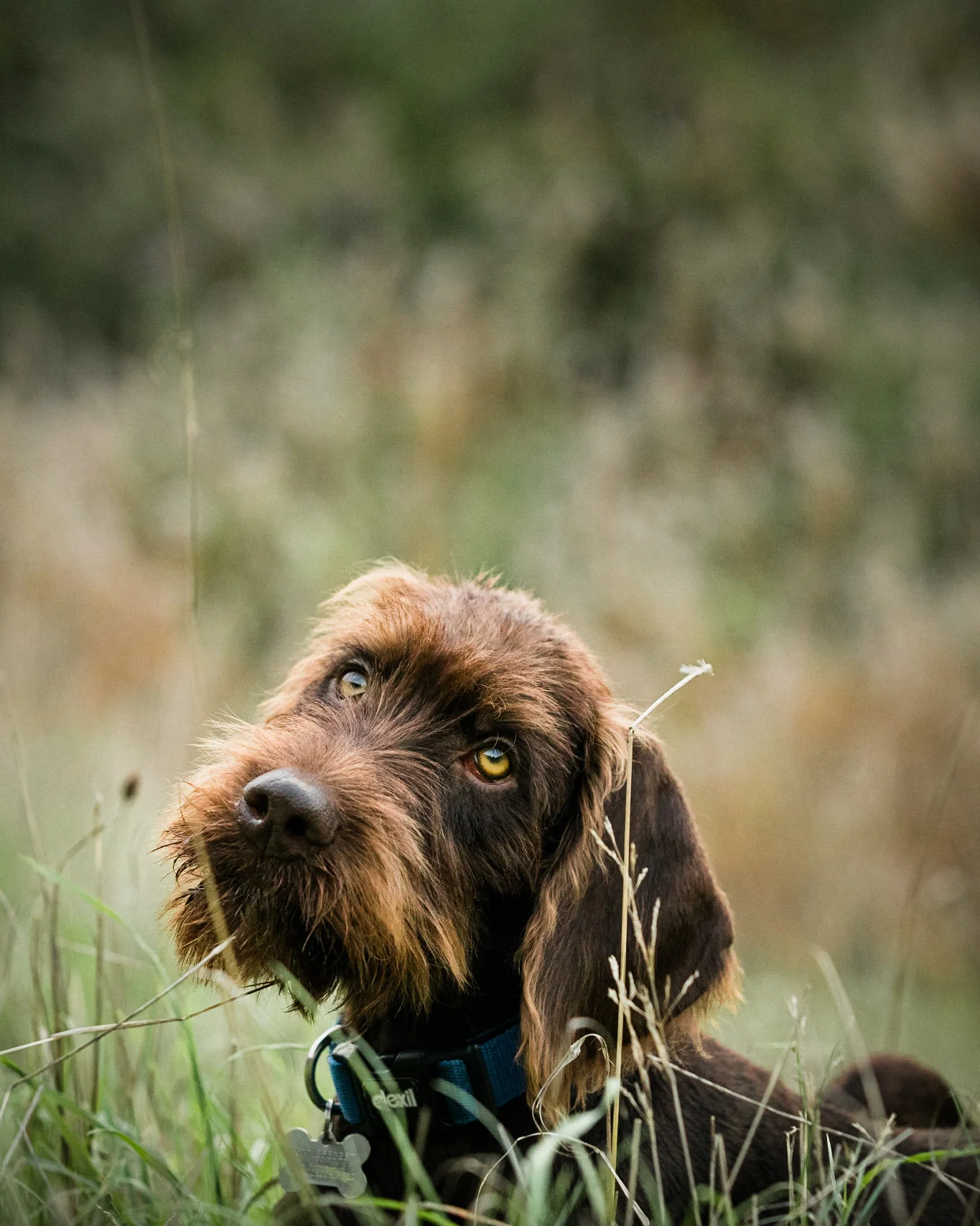 20180903--184317-andrew-maybury.jpg