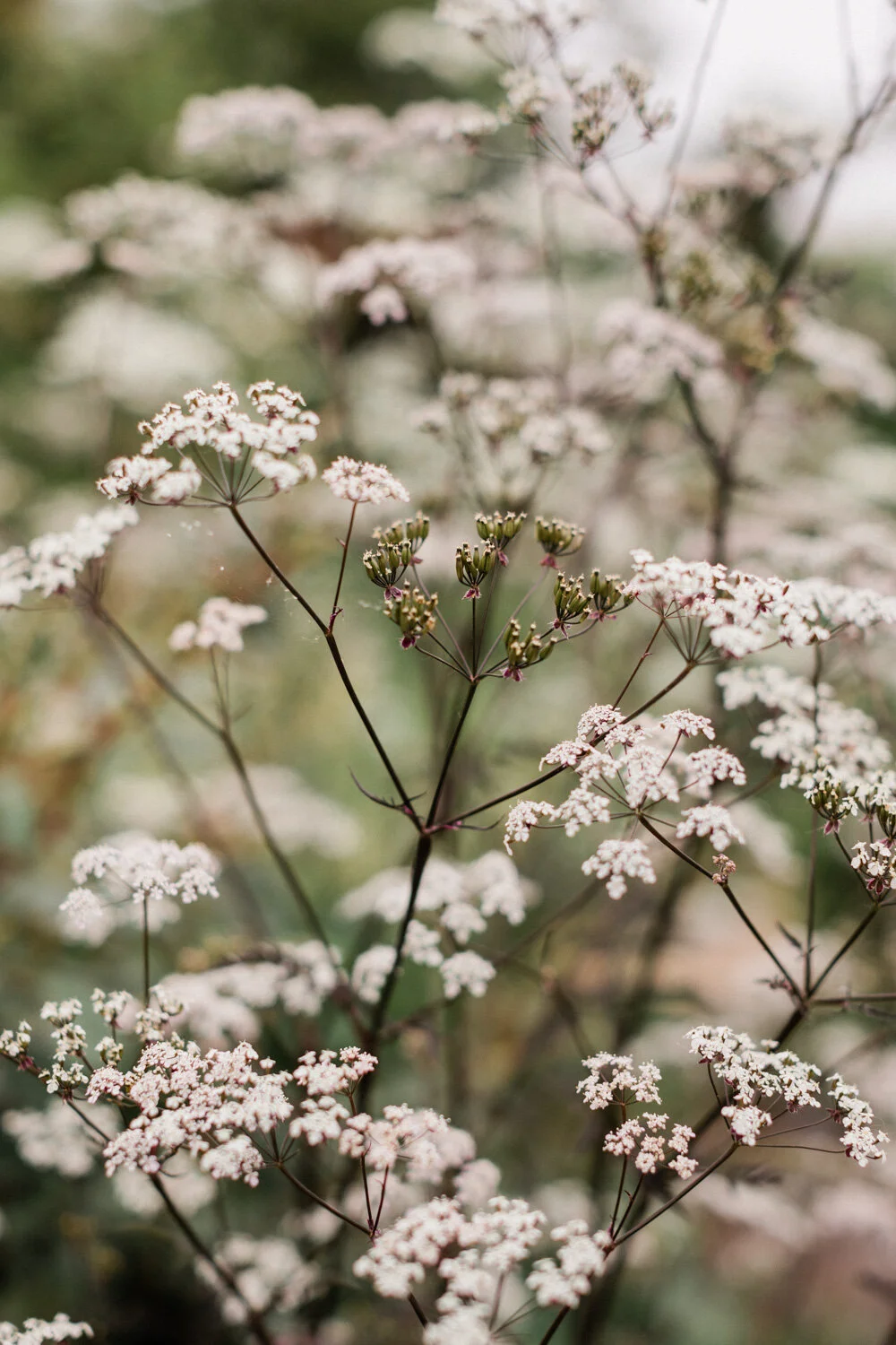 20180524--133633-andrew-maybury.jpg