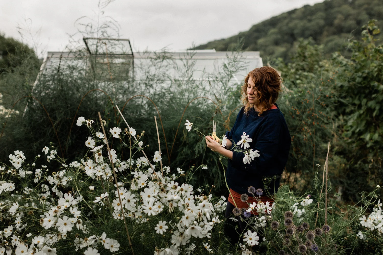 20180906--124929-andrew-maybury.jpg