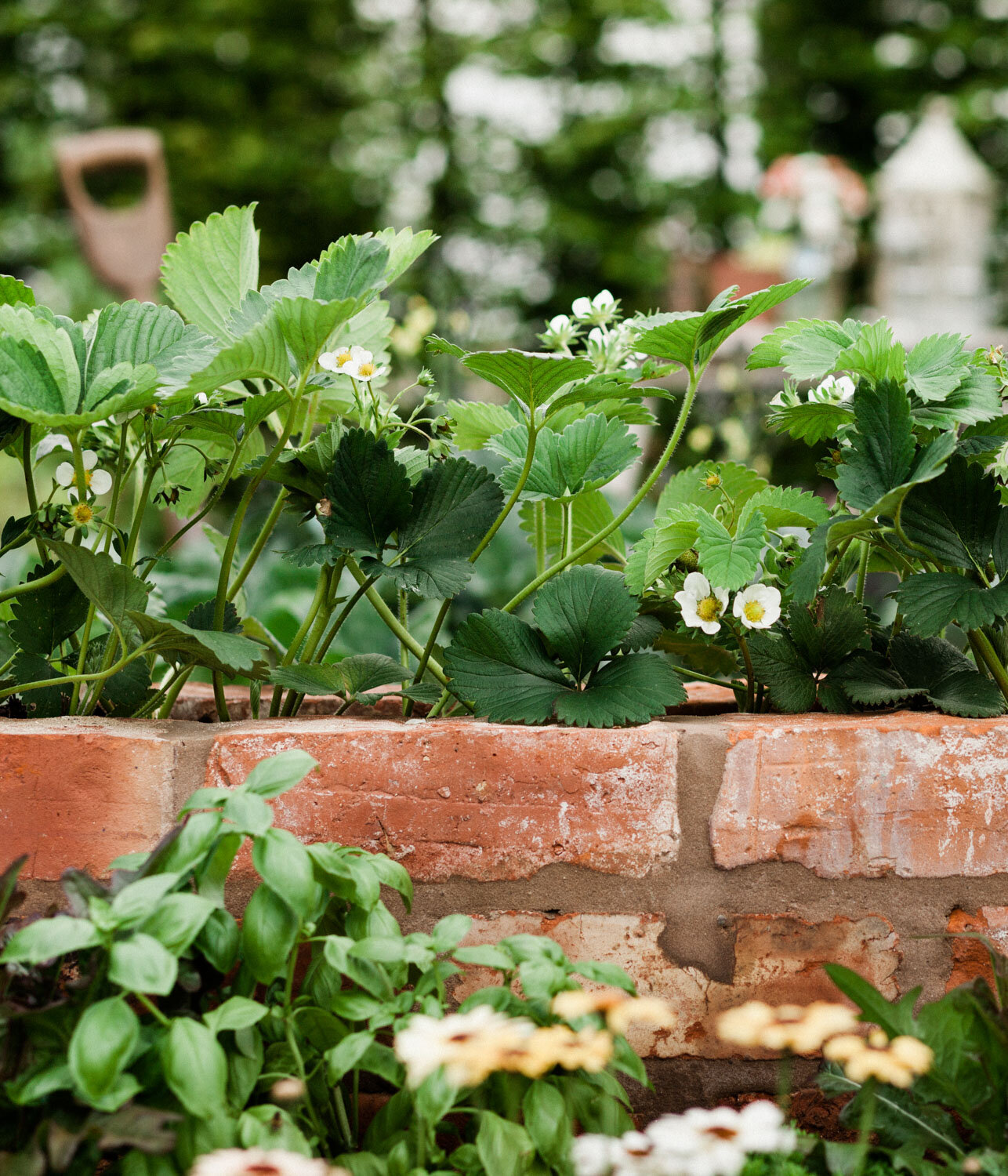 20130611--171310-andrew-maybury.jpg