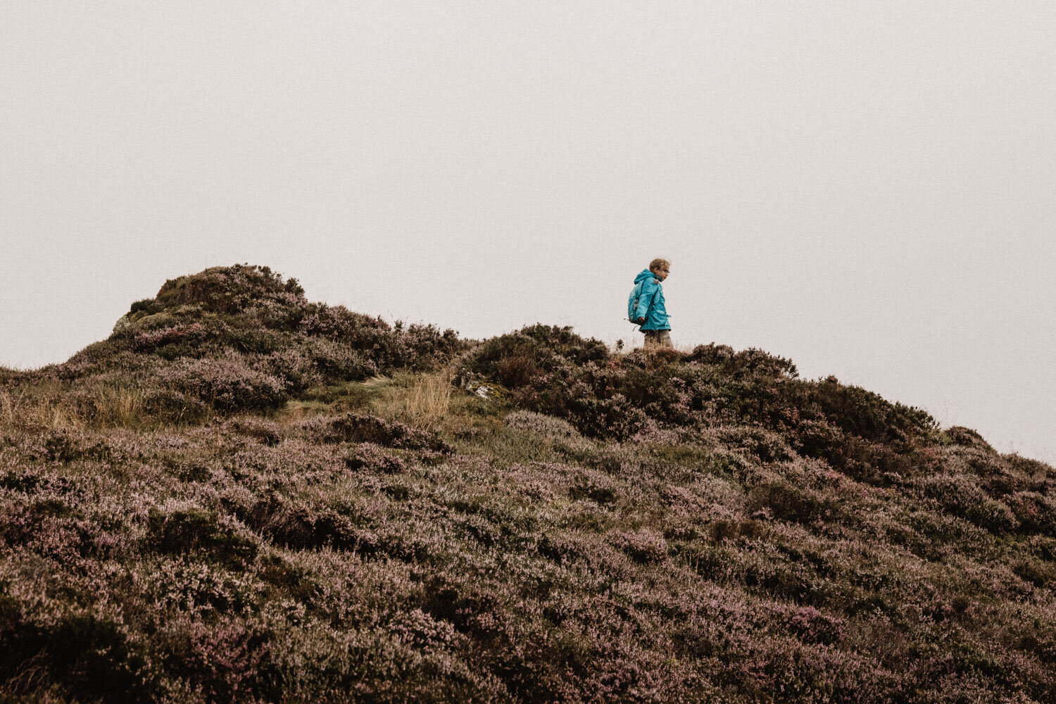 20190731-haystacks-171136-andrew-maybury-after.jpg