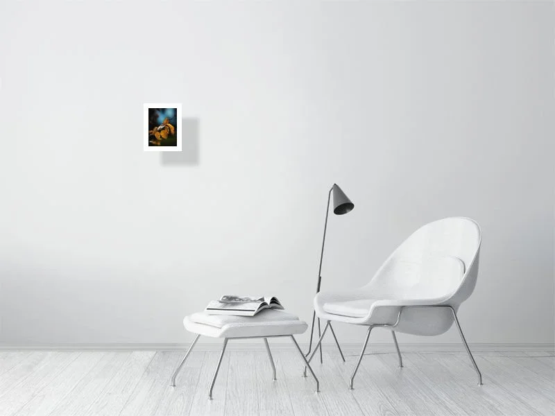 5818443.jpg