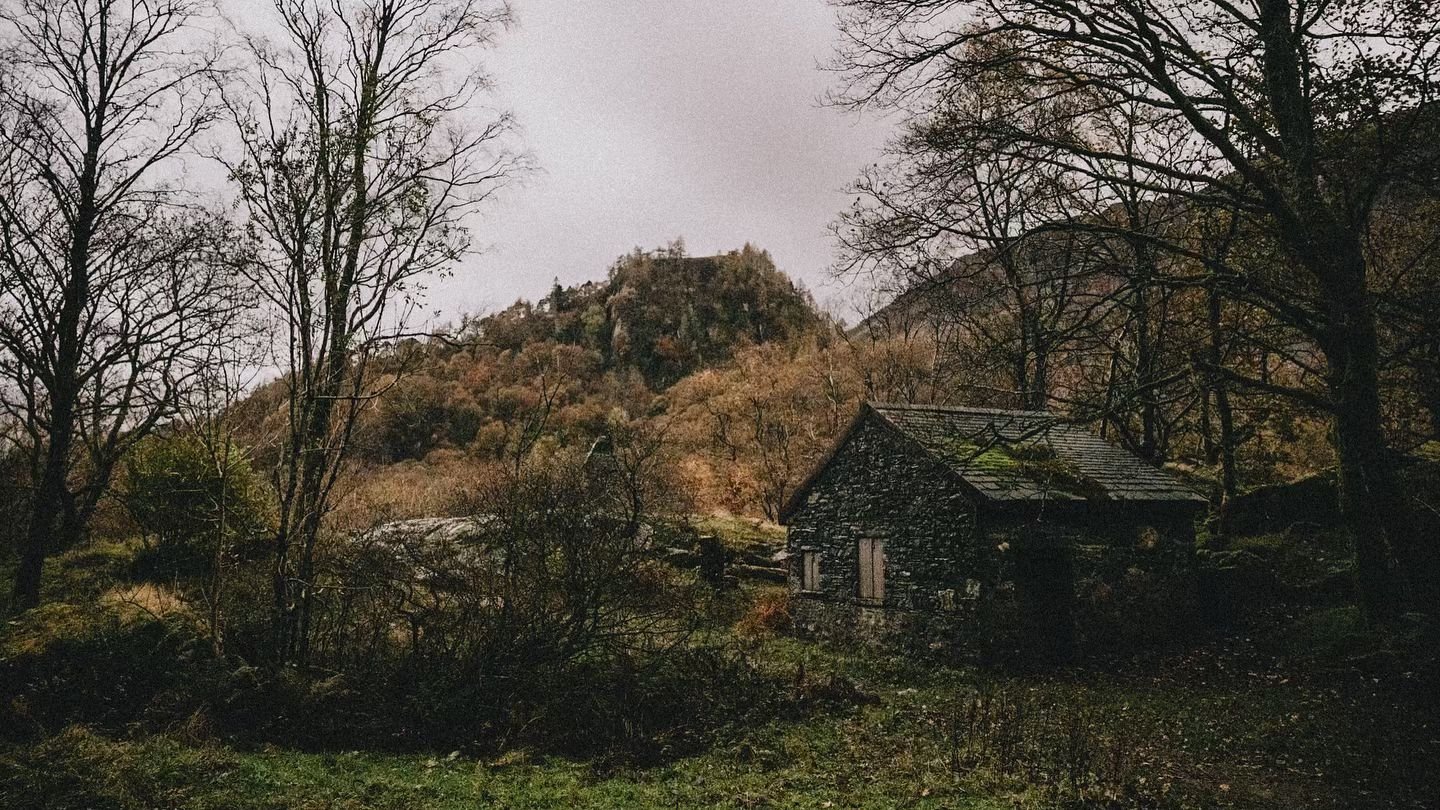 Soaking up the final hint of light in Borrowdale this evening. The forest is looking super autumnal. 🍂 

#lakedistrict #borrowdale #temperaterainforest #landscapephotography #summitsandseasons