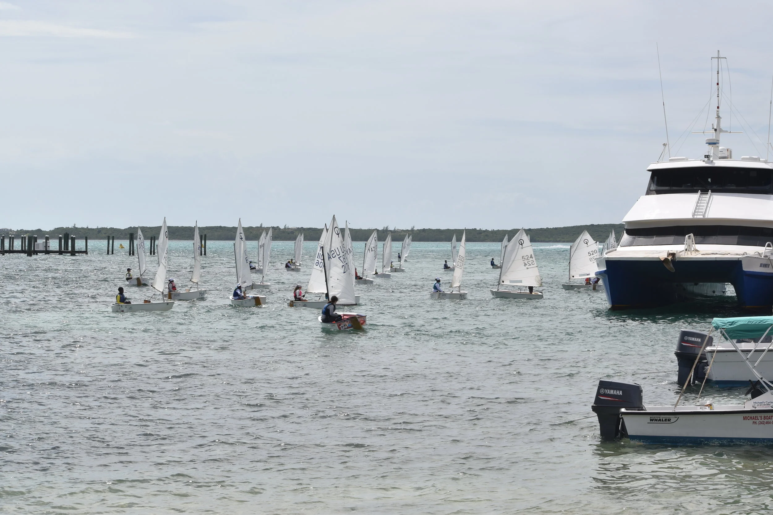 DSC_0196.JPG