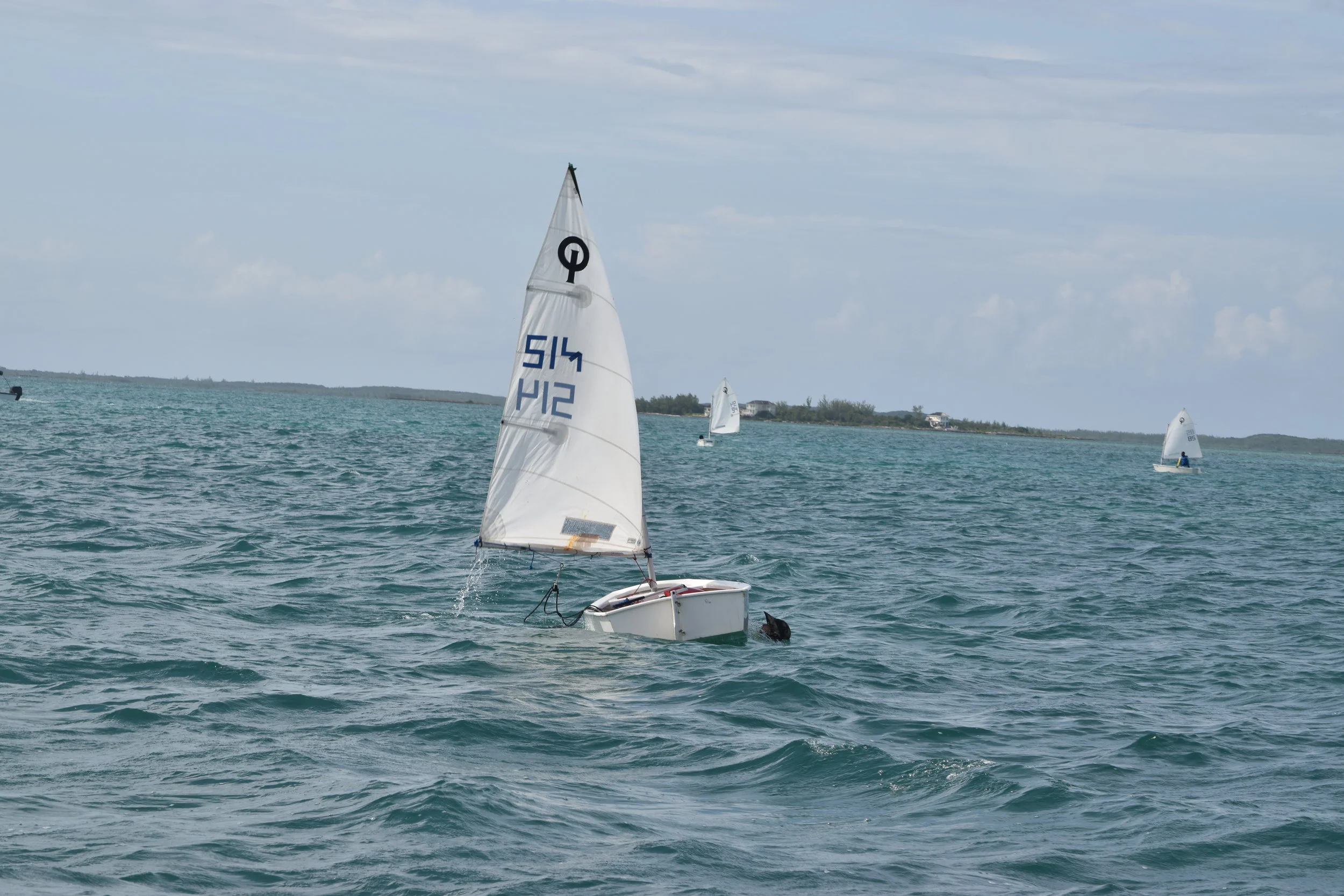 DSC_0228.JPG