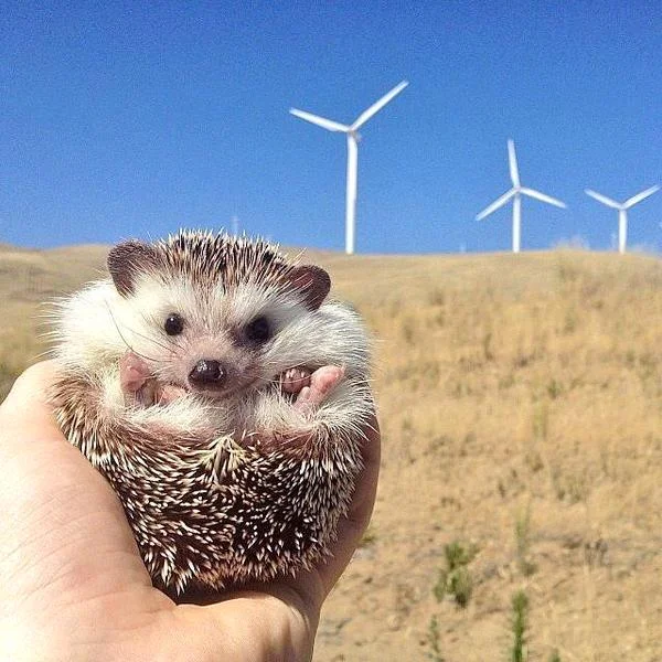 Is clean energy social? We think so.