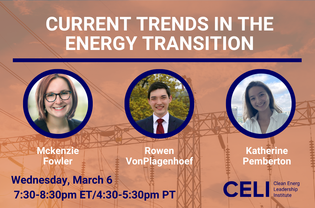 Current Trends in the Energy Transition: Panel Discussion