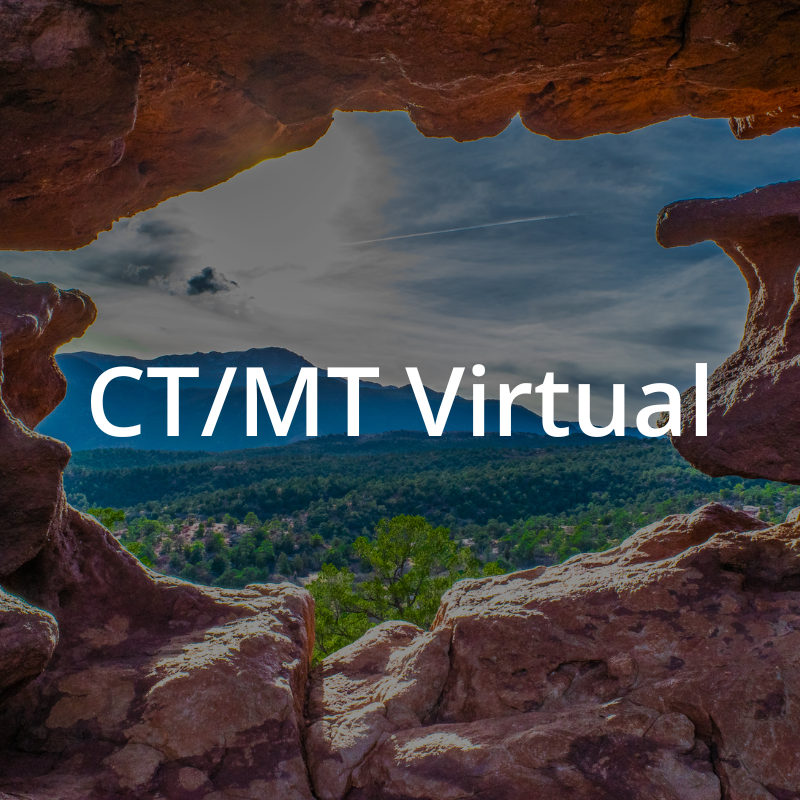 ct-mt.png