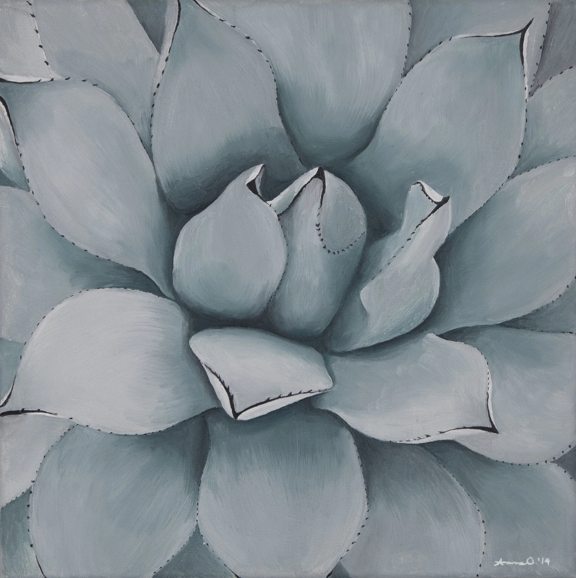 Succulent Hues.jpg