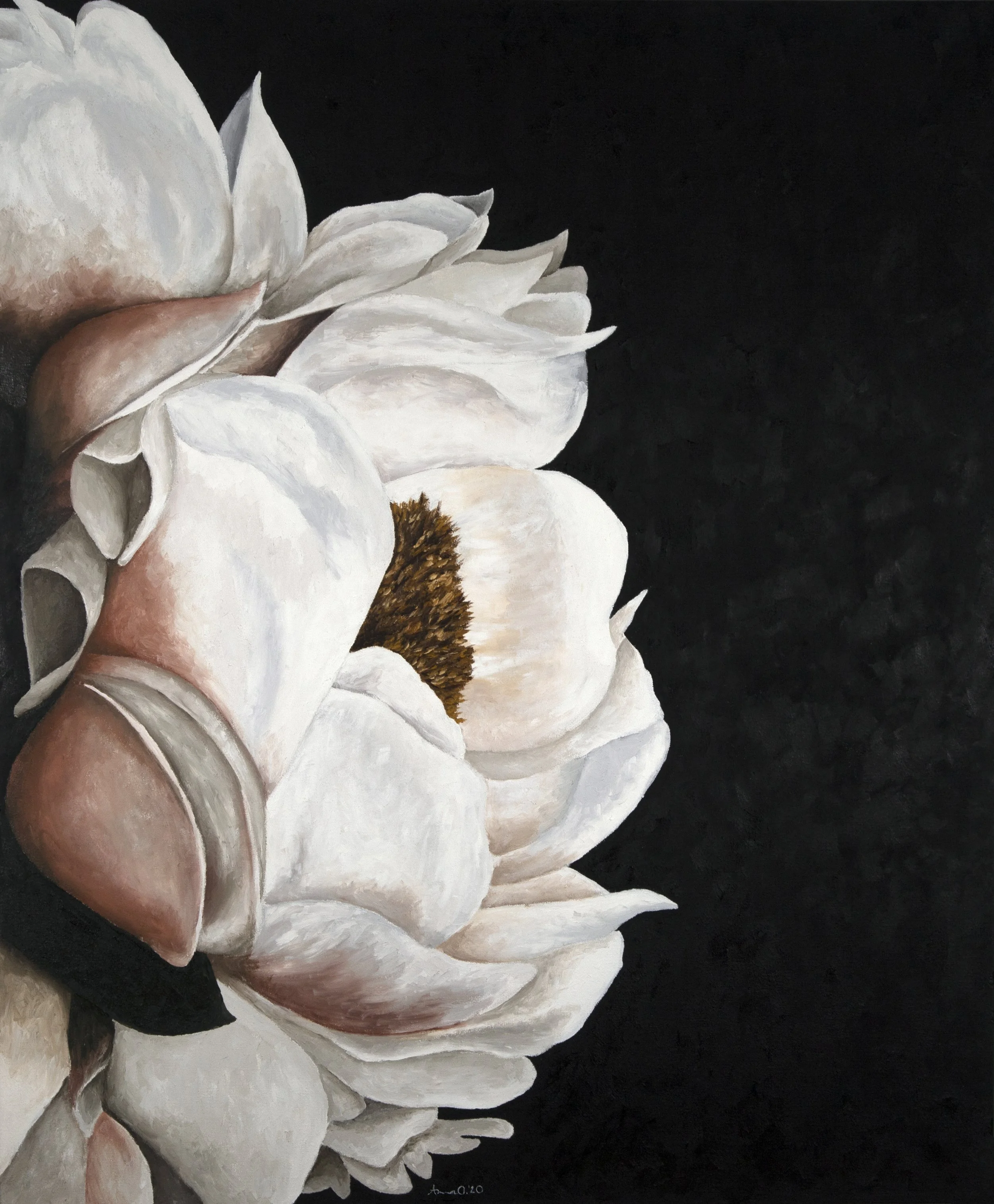 Dramatic Peony #1