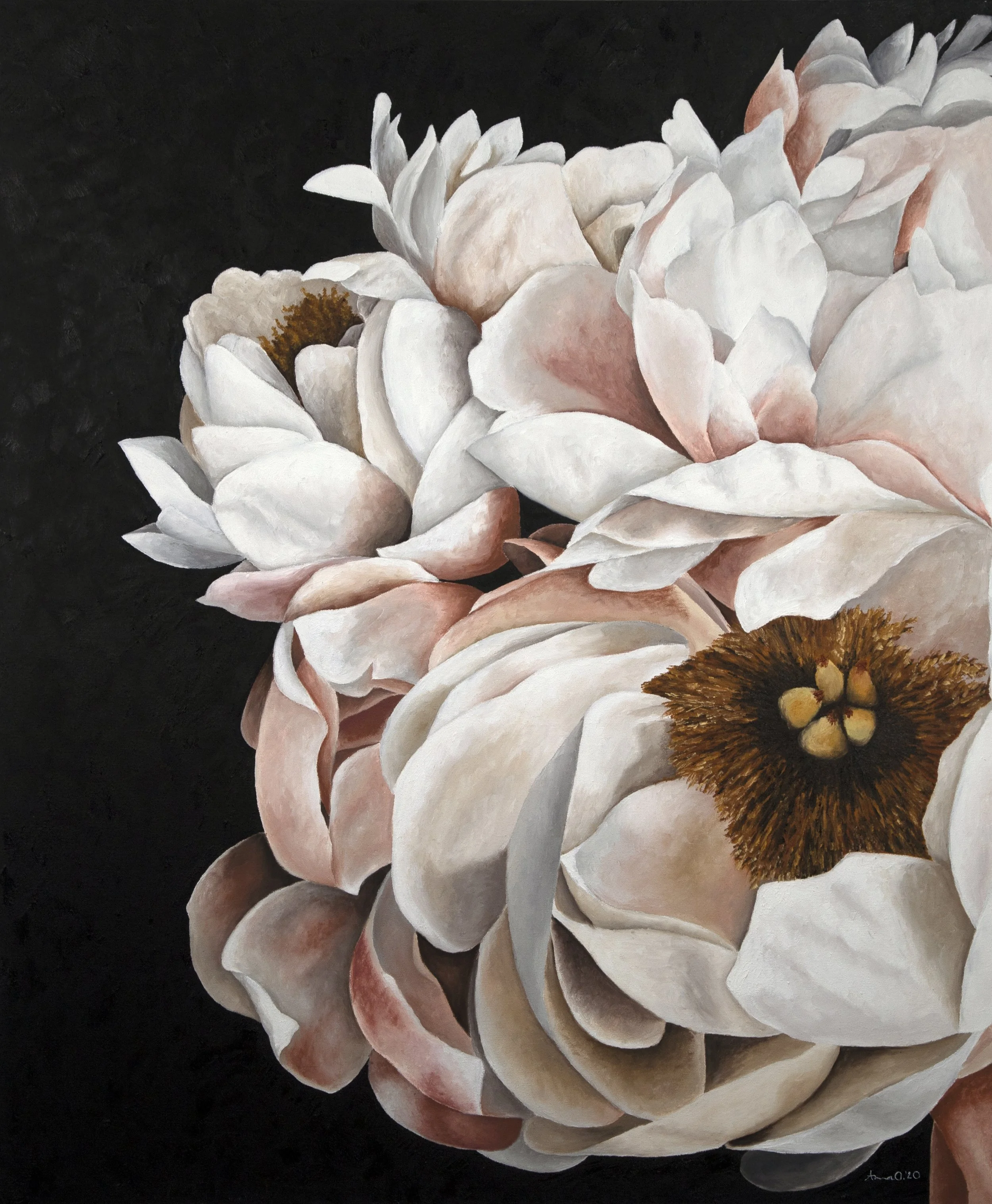 Dramatic Peony #2