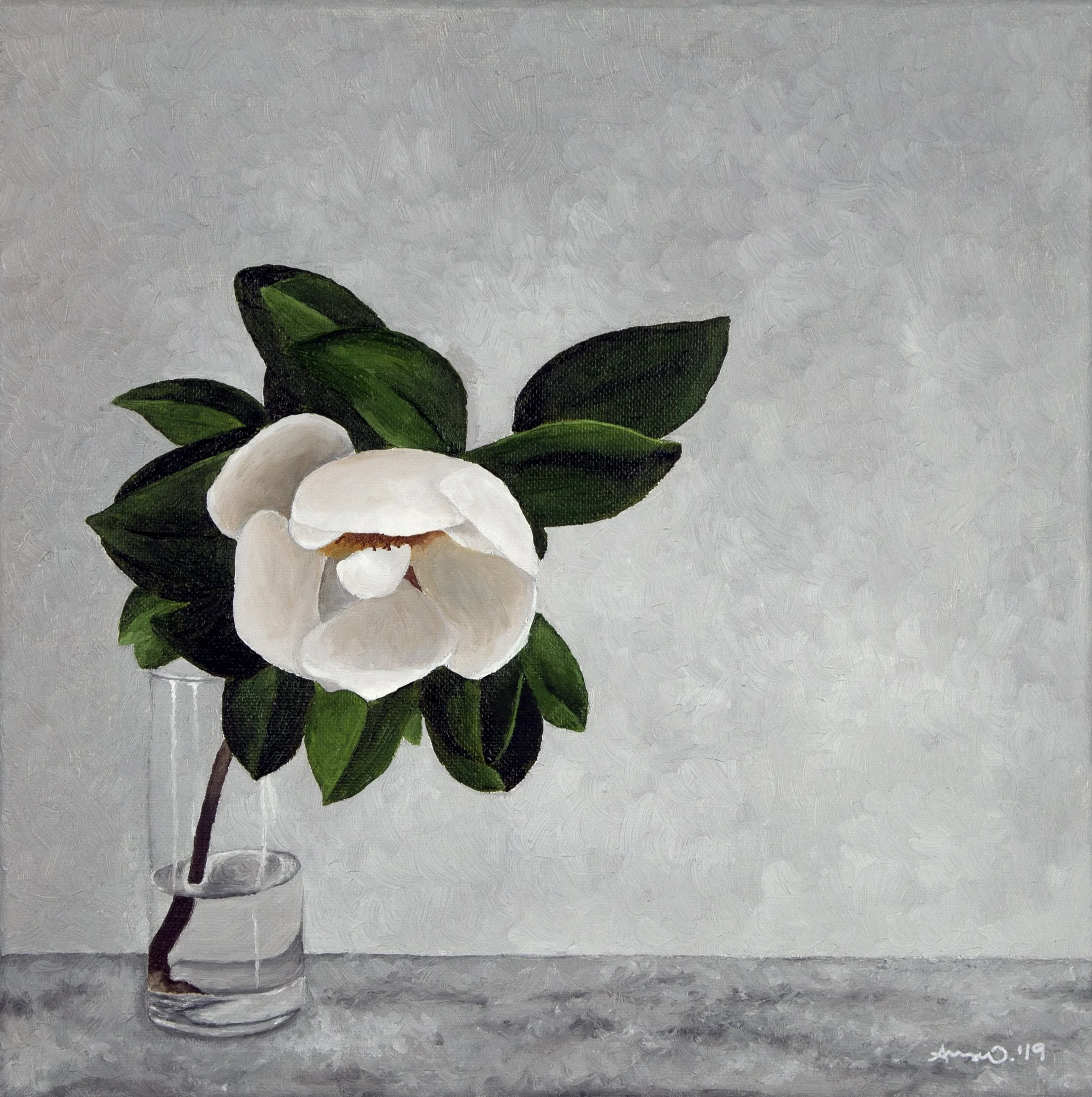 Magnolia Stem