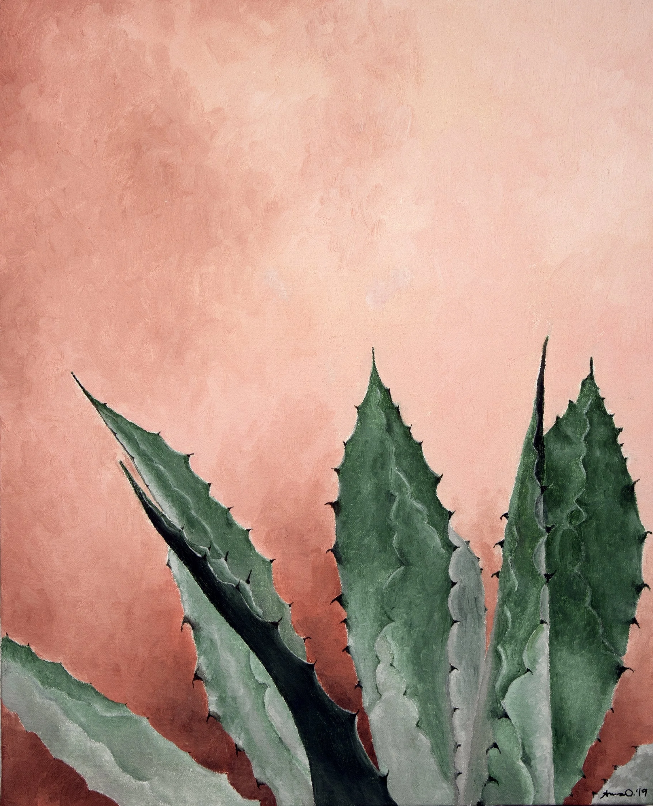 Santa Fe Colors