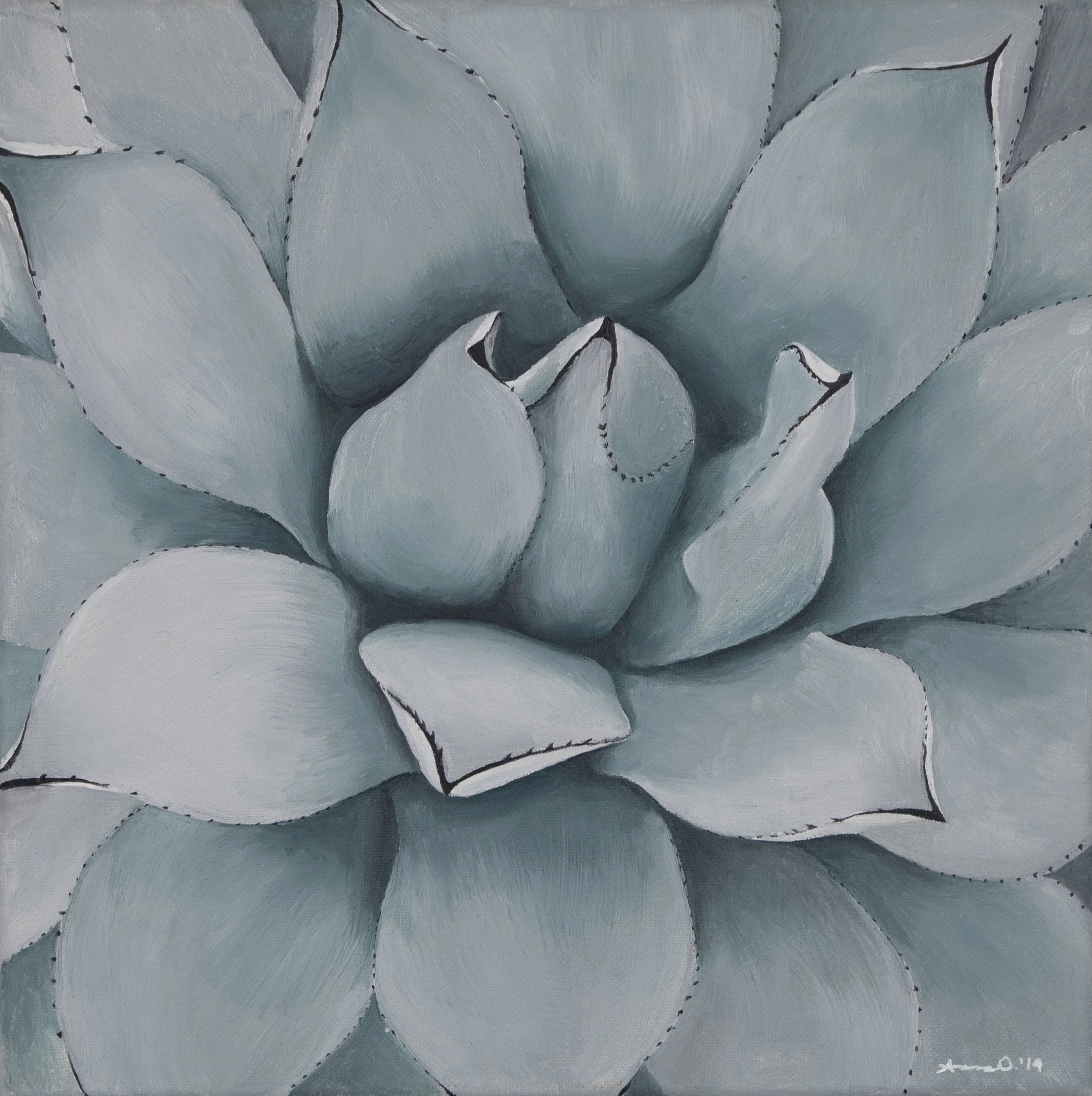 Succulent Hues