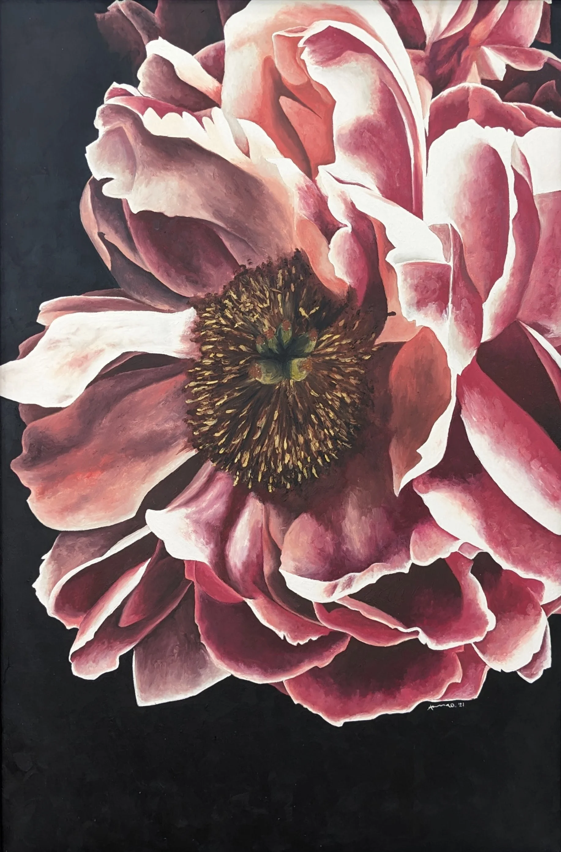 Dramatic Peony #3